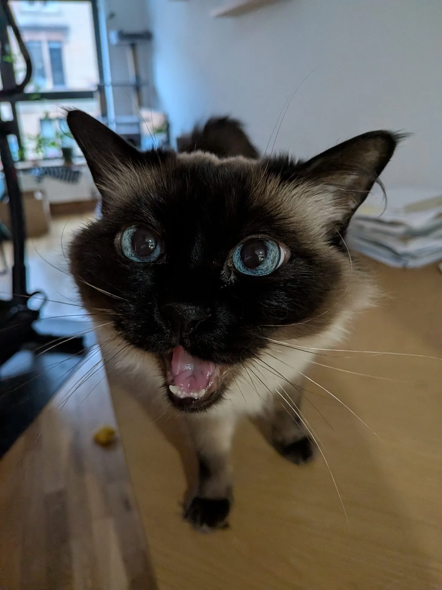 WhatsApp Image 2026-02-25 at 05.53.25 (3).jpeg