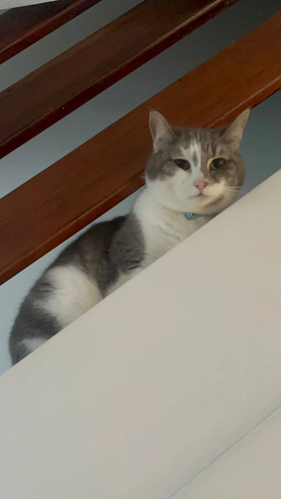 WhatsApp Image 2026-02-25 at 05.53.22.jpeg