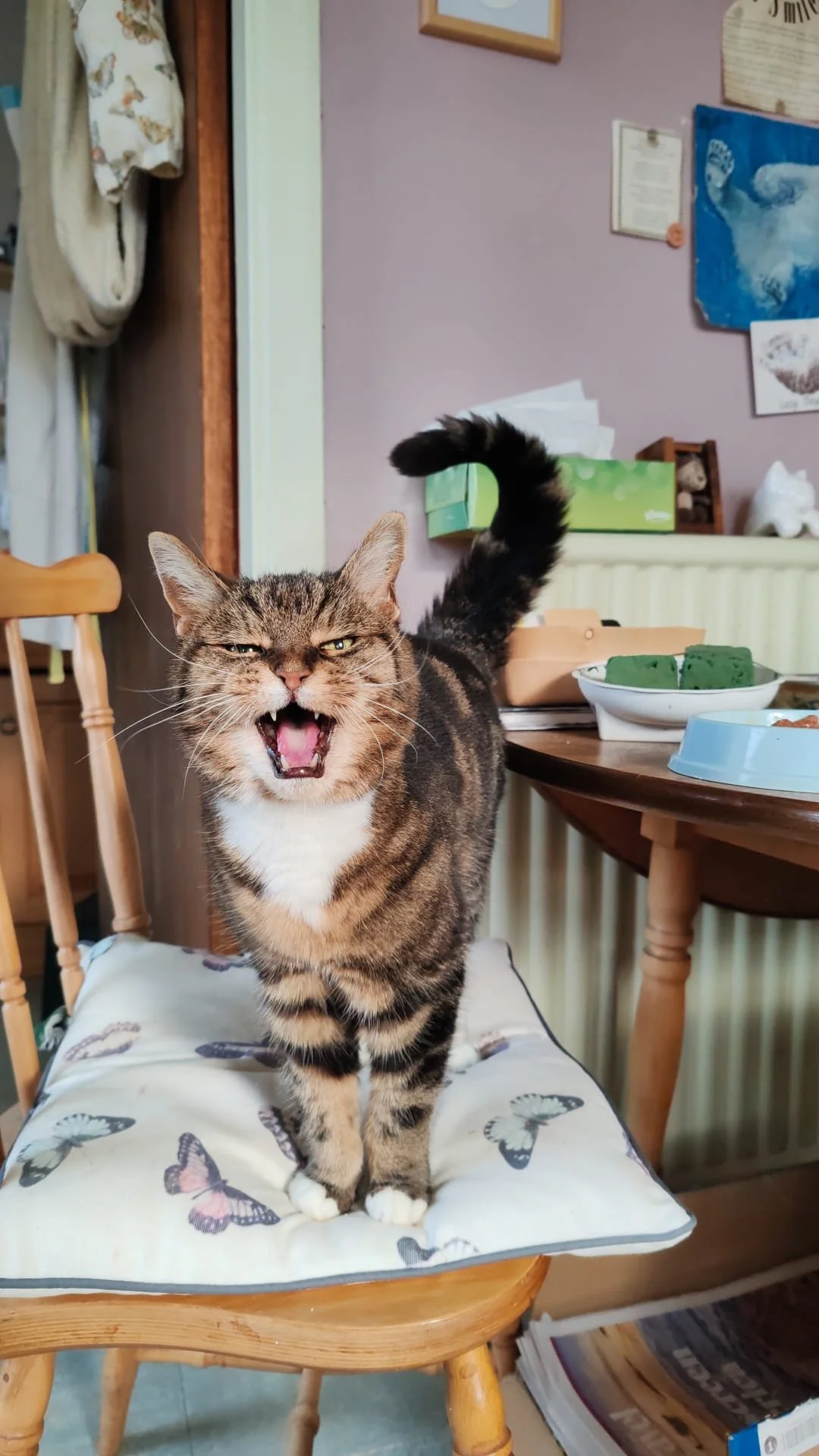 WhatsApp Image 2026-02-25 at 05.53.26 (3).jpeg