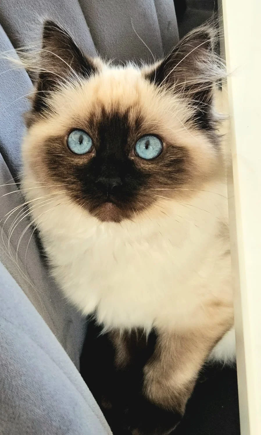 WhatsApp Image 2026-02-25 at 05.53.24 (2).jpeg