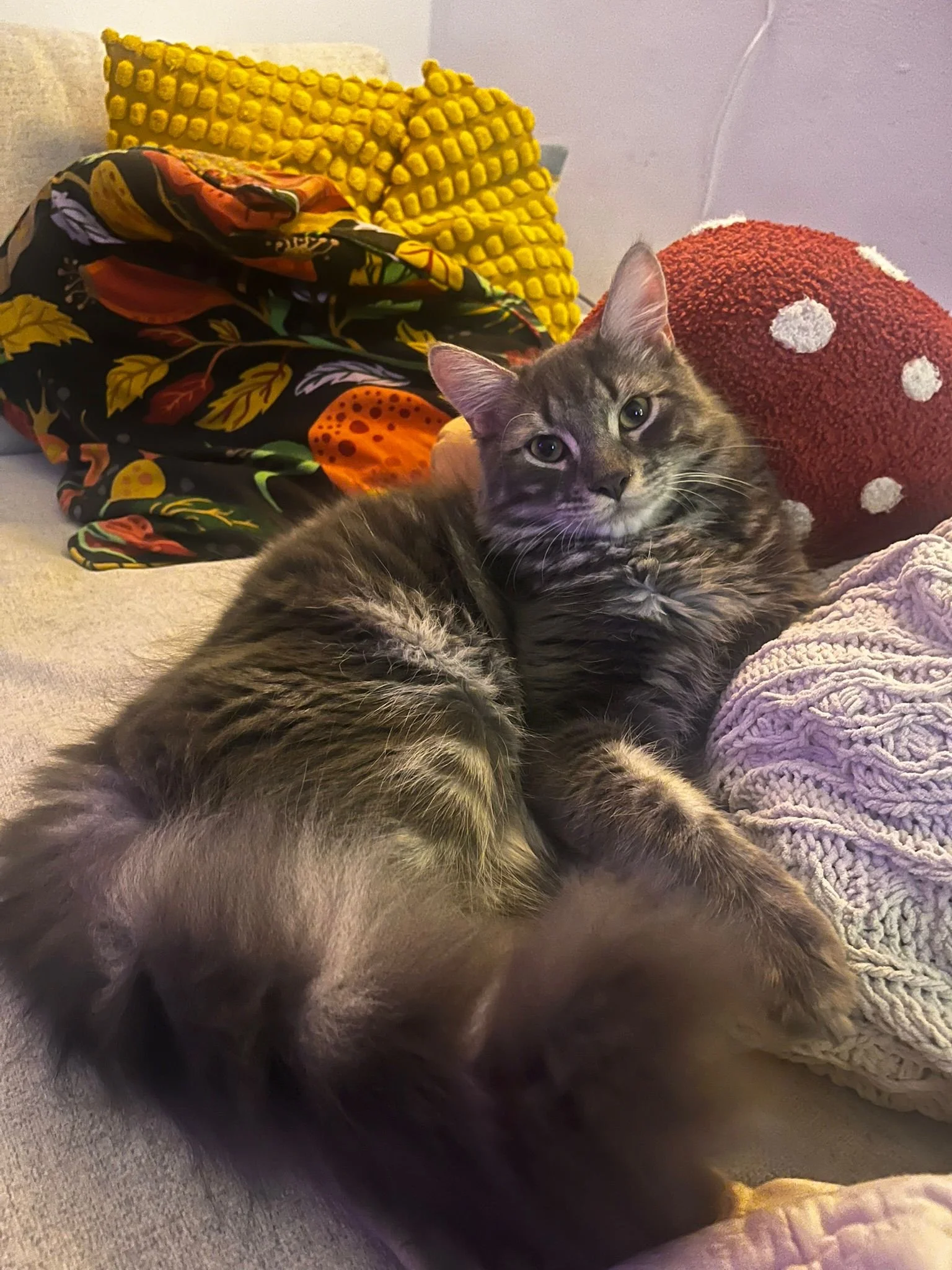 WhatsApp Image 2026-02-25 at 05.53.25 (1).jpeg