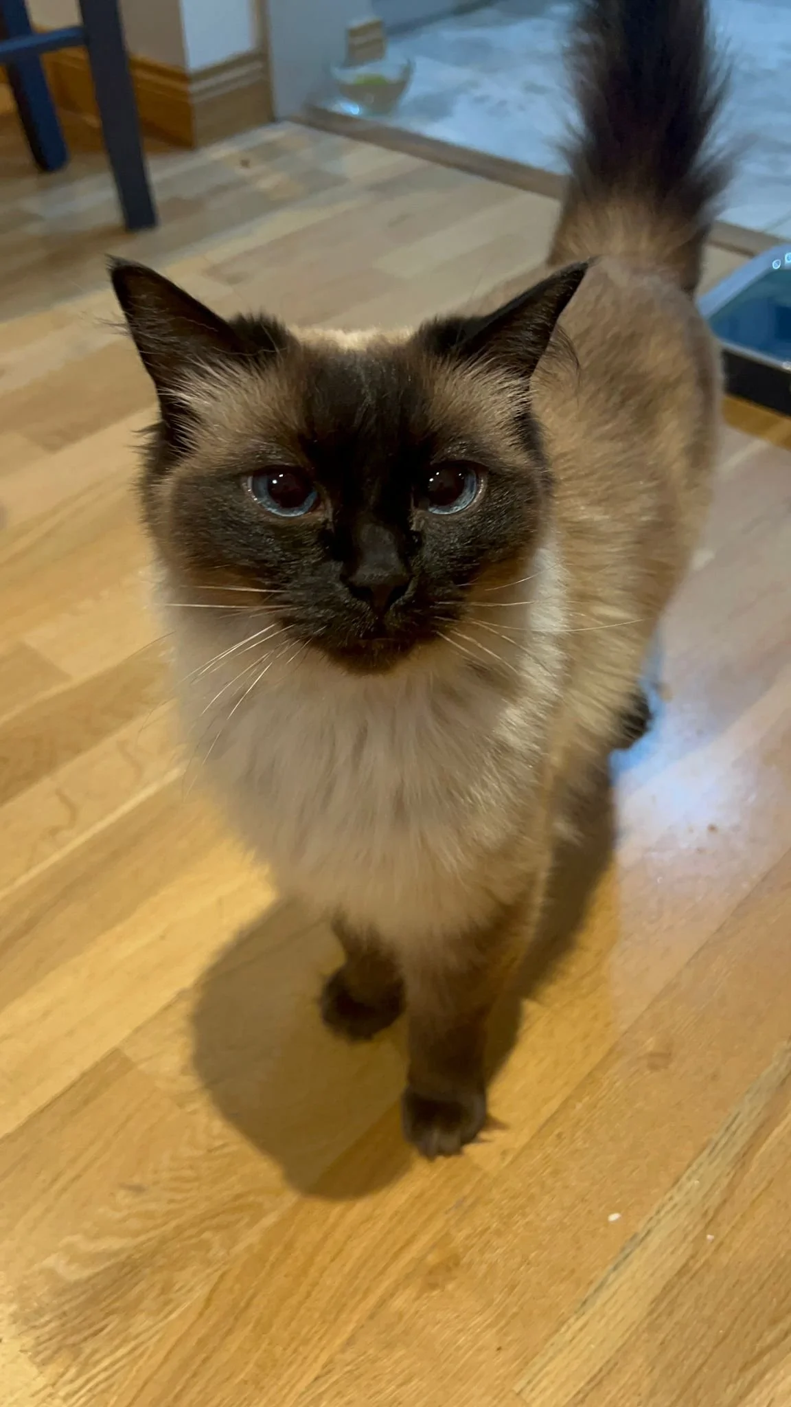 WhatsApp Image 2026-02-25 at 05.53.25 (2).jpeg