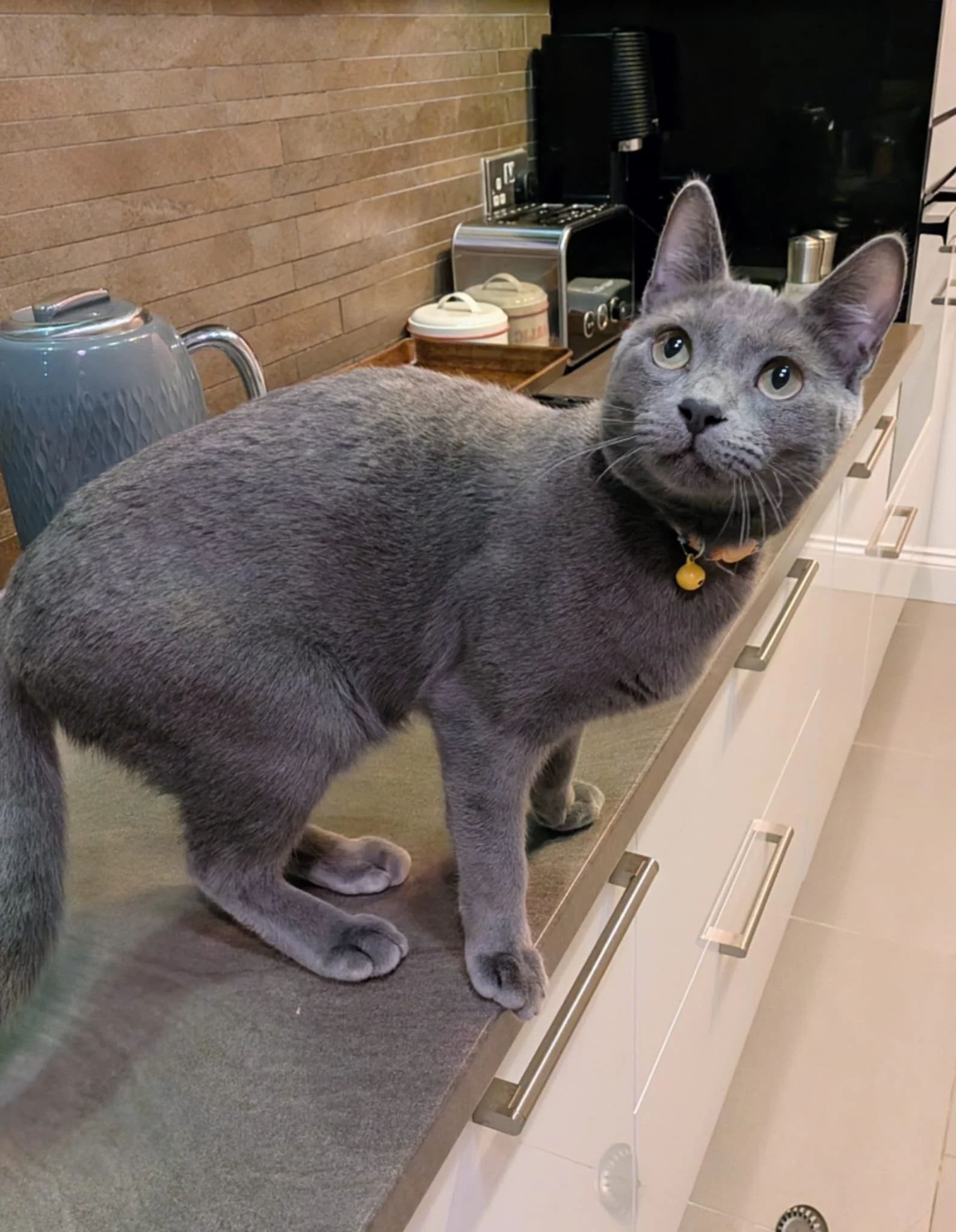 WhatsApp Image 2026-02-25 at 05.53.23 (1).jpeg