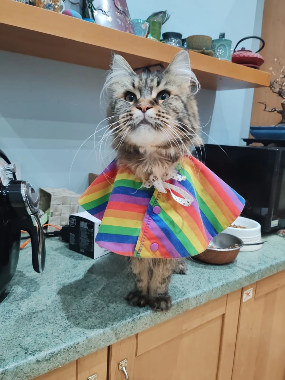 WhatsApp Image 2026-02-25 at 05.54.03.jpeg