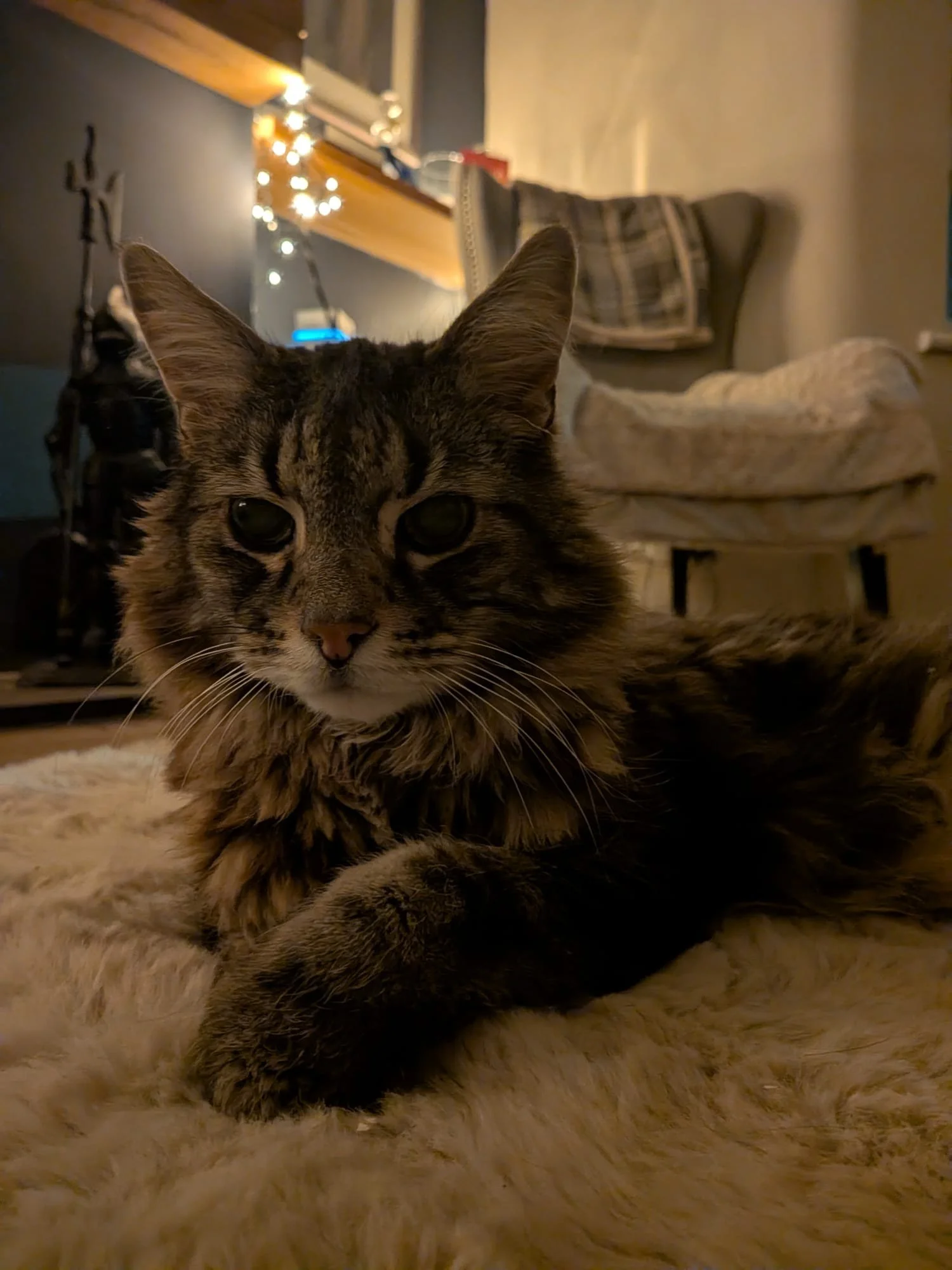 WhatsApp Image 2026-02-25 at 05.53.26 (4).jpeg