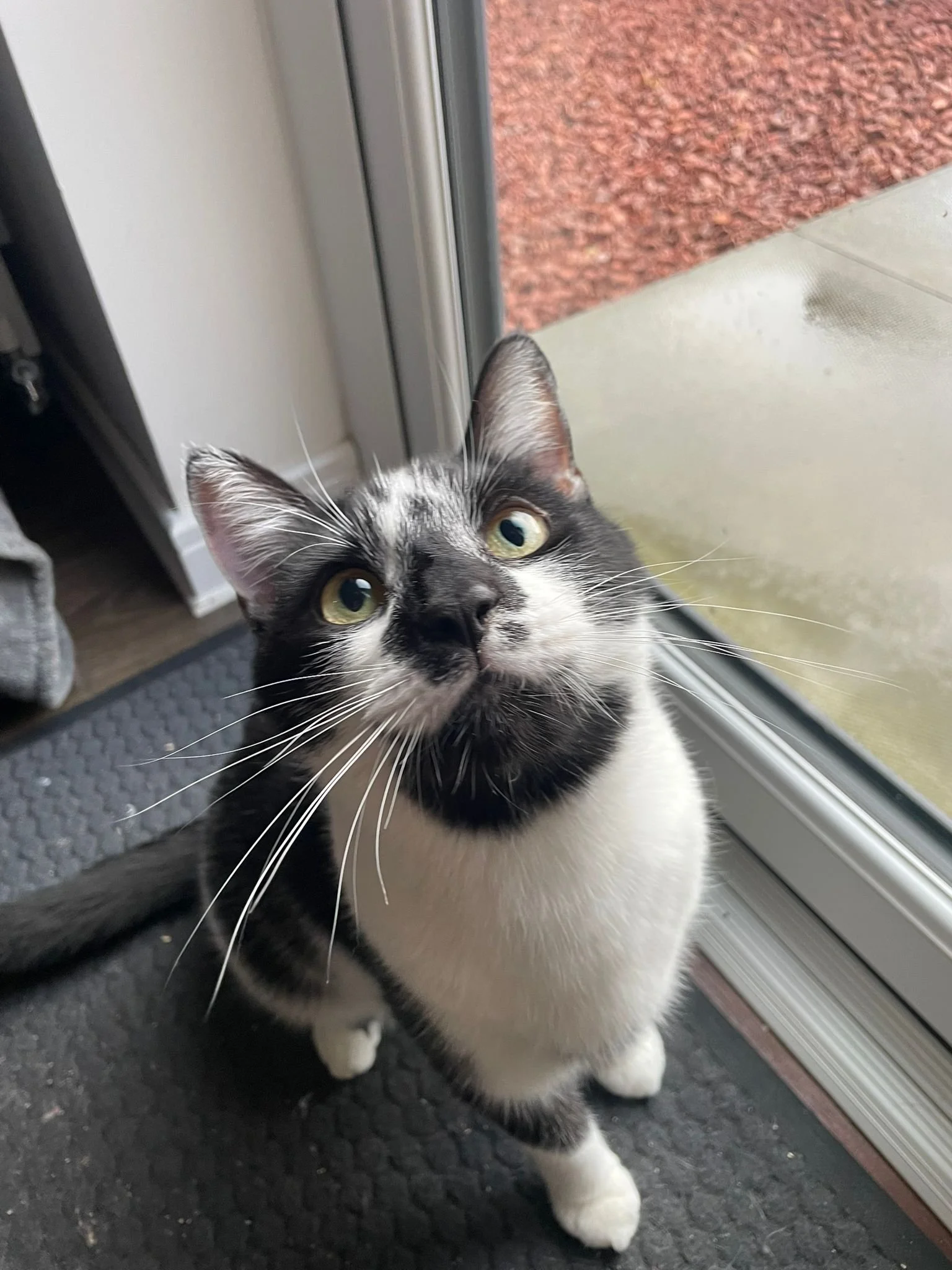 WhatsApp Image 2026-02-25 at 05.53.27.jpeg