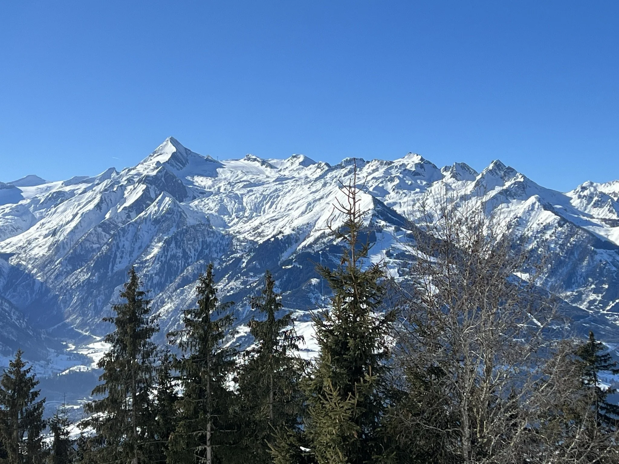 zell am see planina drvece.JPEG