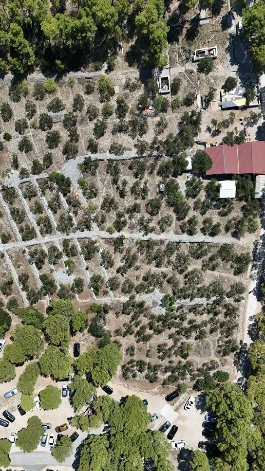 makarska dron maslinjaci.jpg