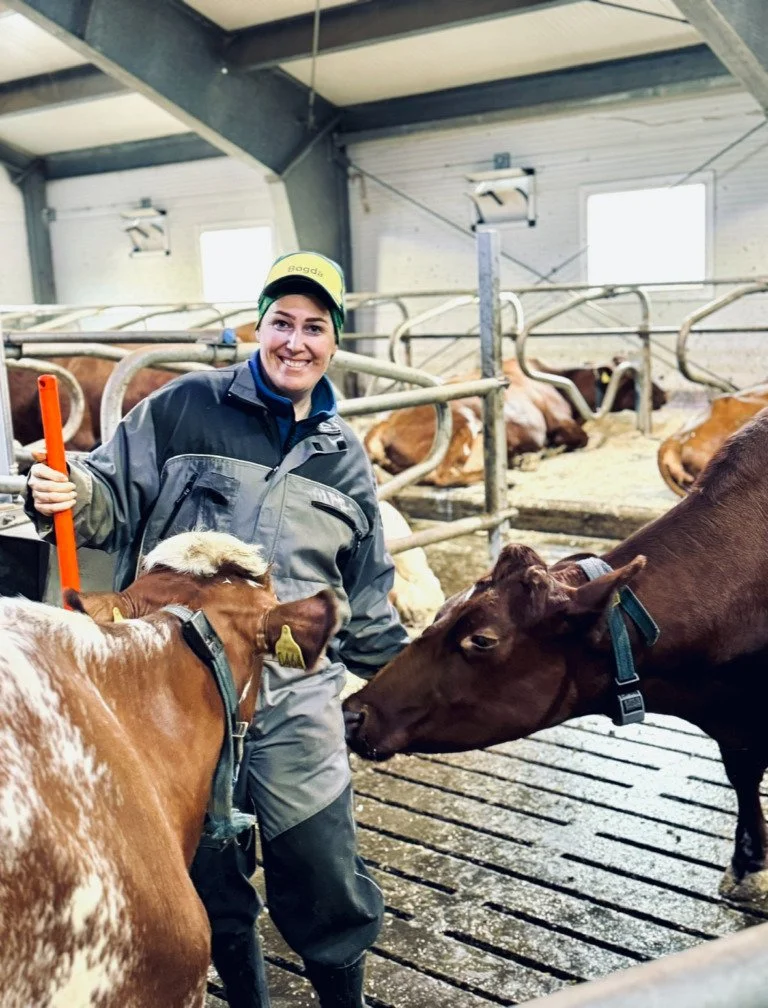 Kjæresten er i boks – no manglar berre jobben