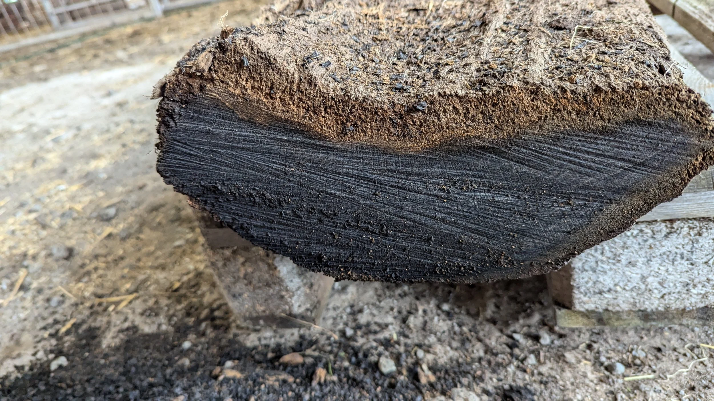 This was the piece before it started to dry and split.