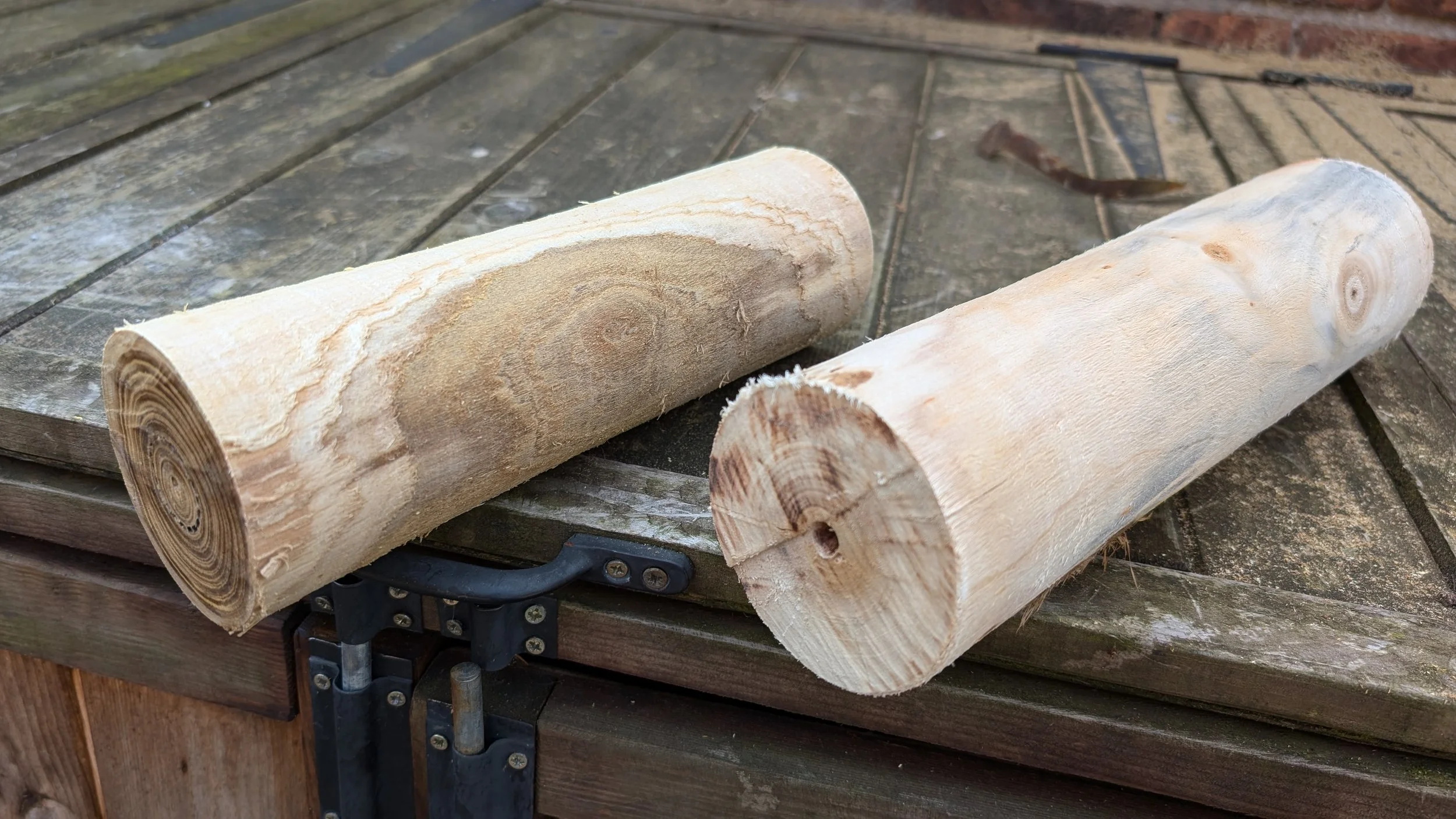 Two branches, rough turned to make vases, ready for drying