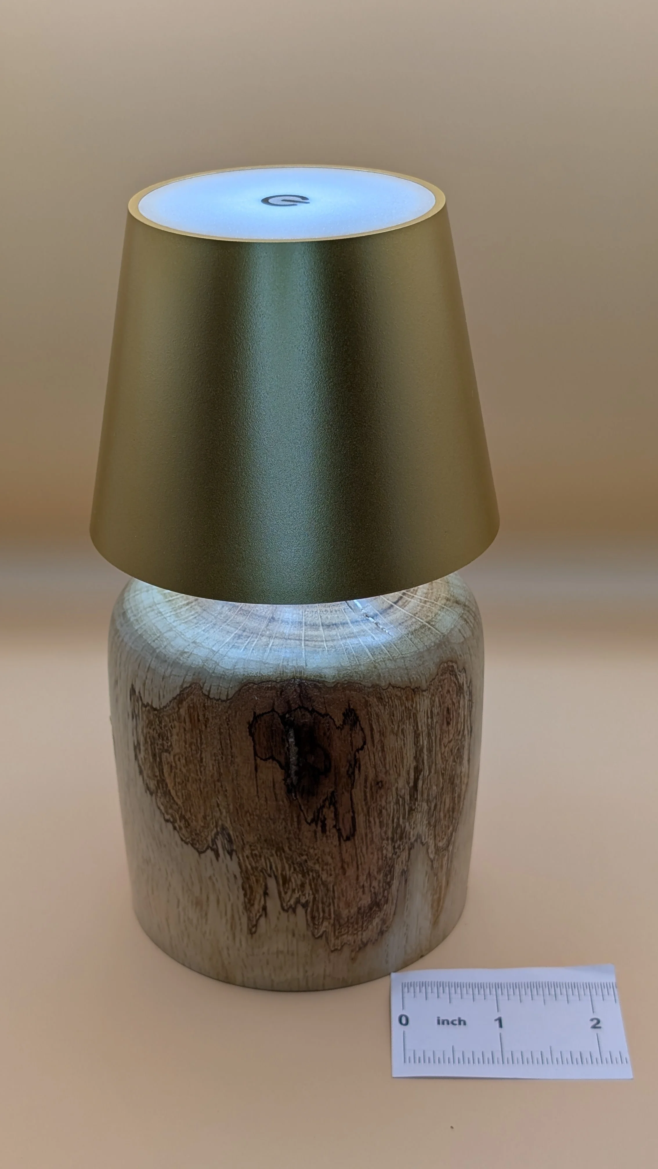 Oak LED Rechargeable Mood Light