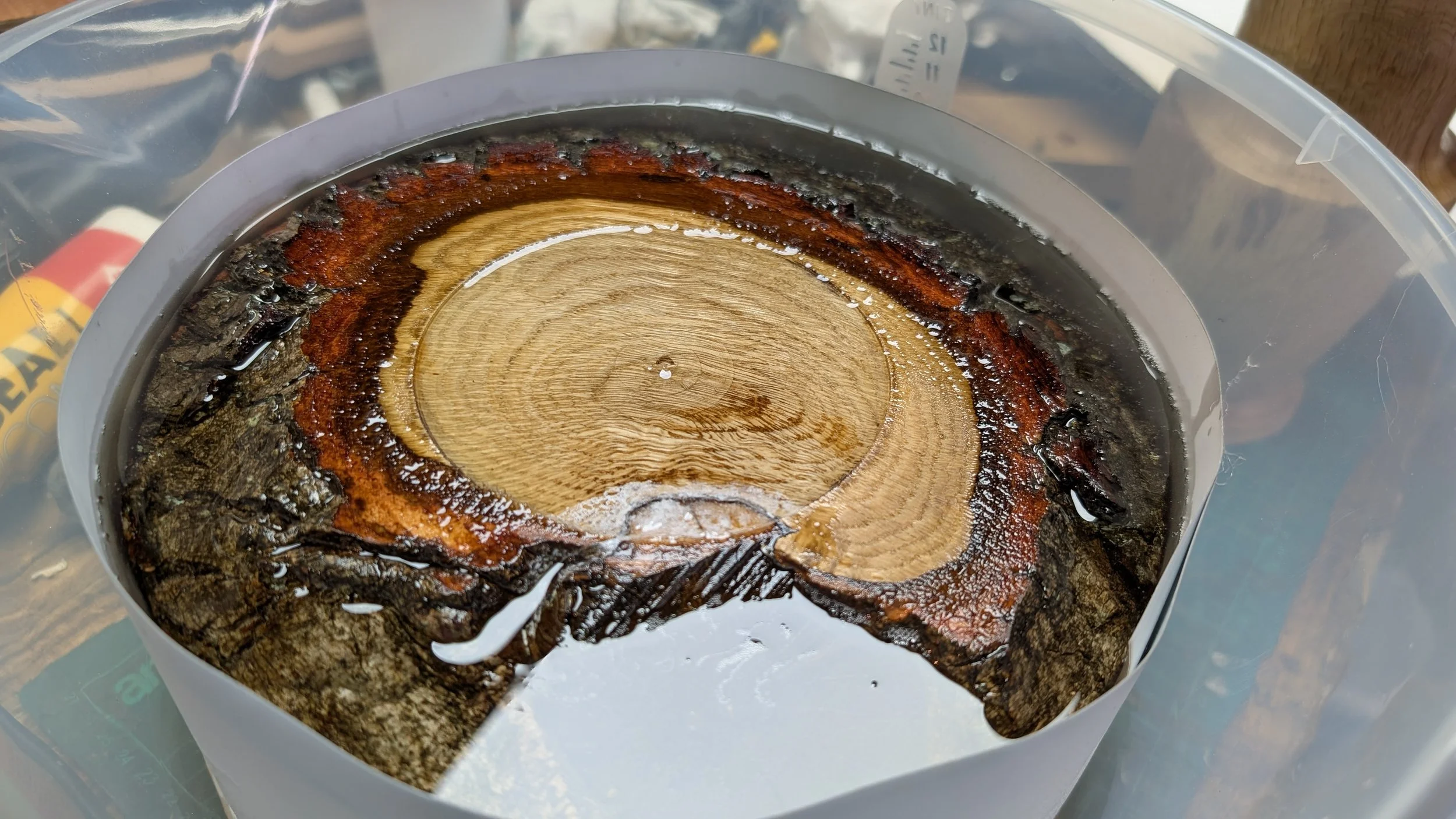 A piece of oak end grain soaking in clear resin, ready to go in the pressure pot
