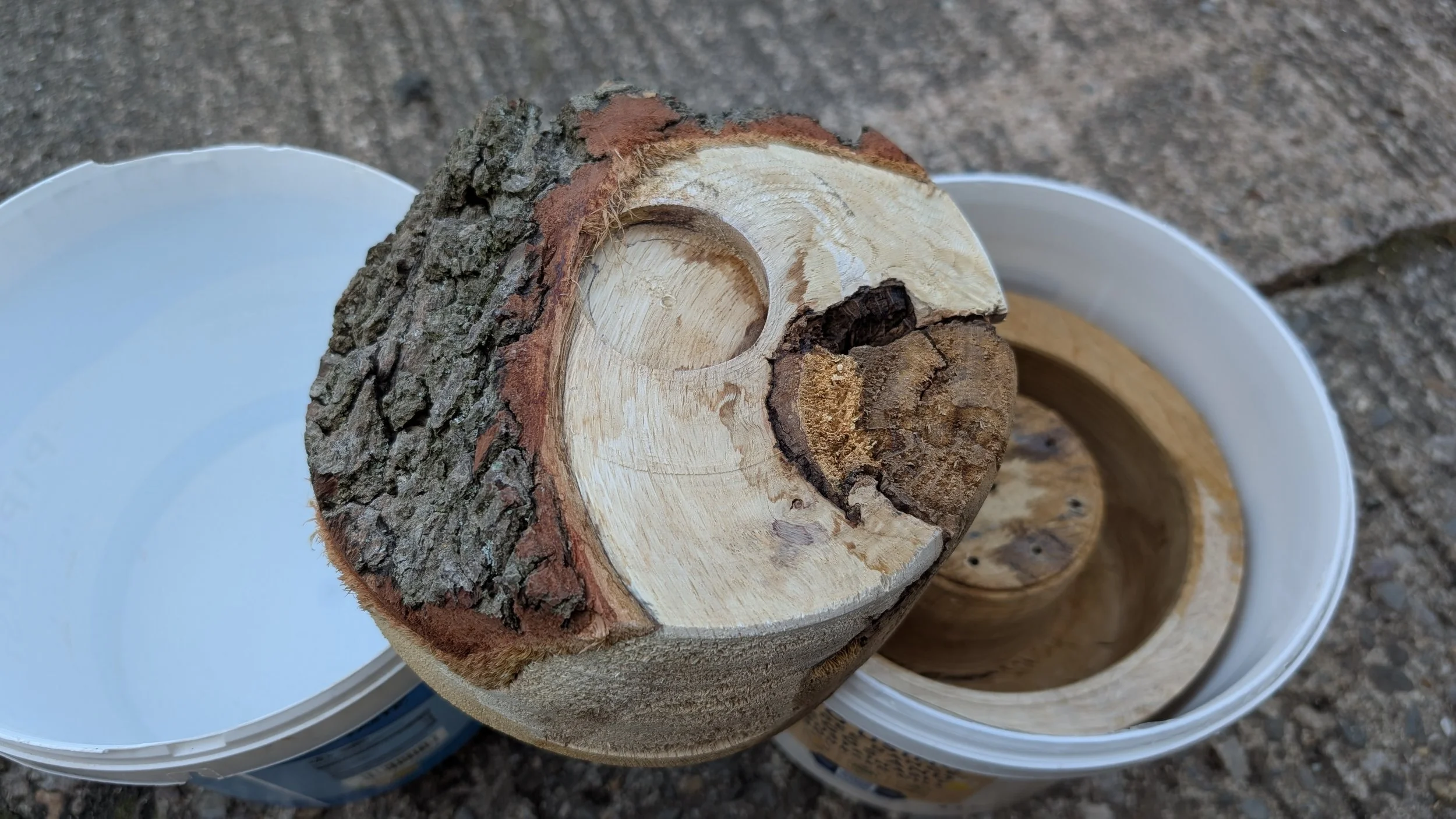 Two pieces of oak going into the pressure pots