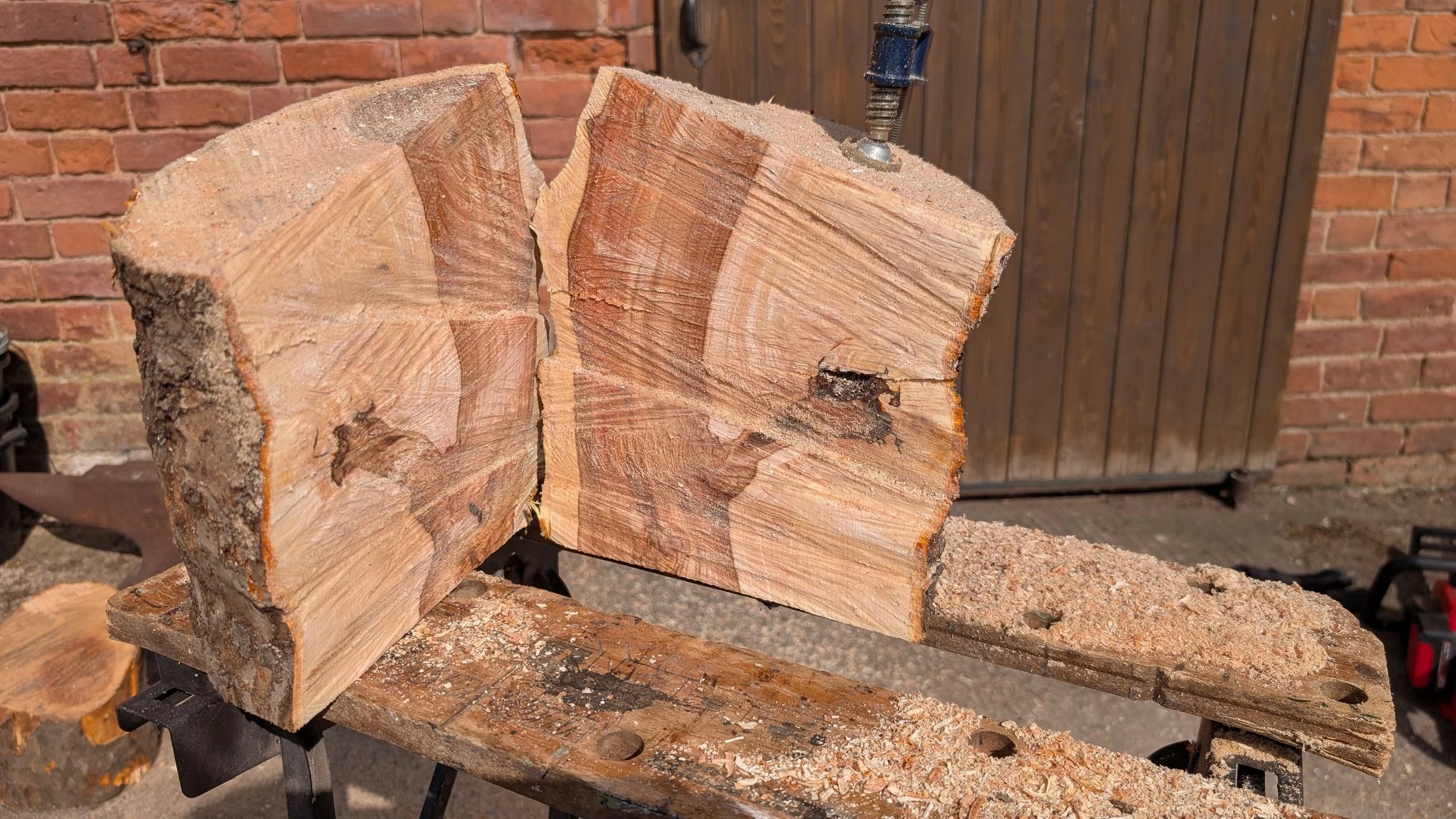 A large apple trunk, split with the chainsaw
