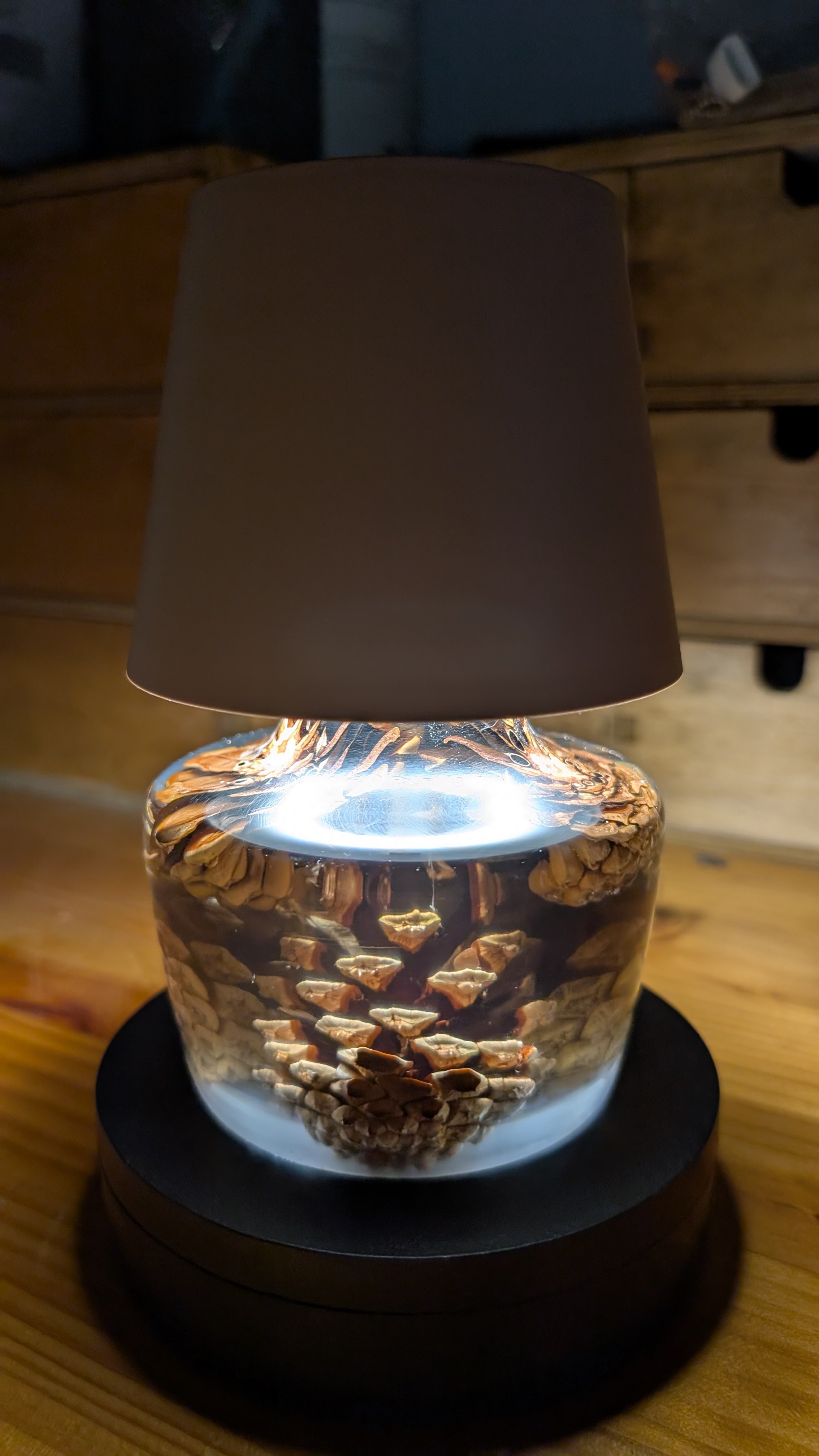 Pine cone lamps