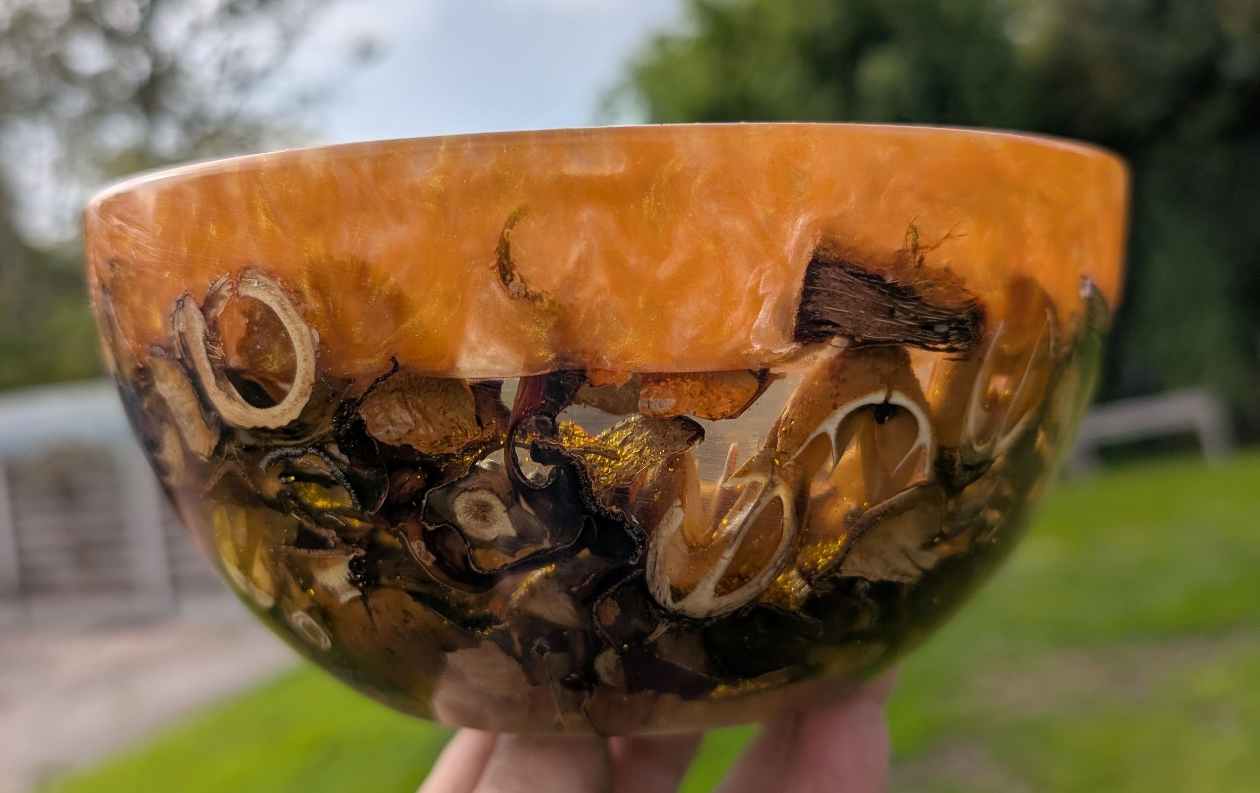 PXL_20250927_120103474 - Copy - Copy.jpg