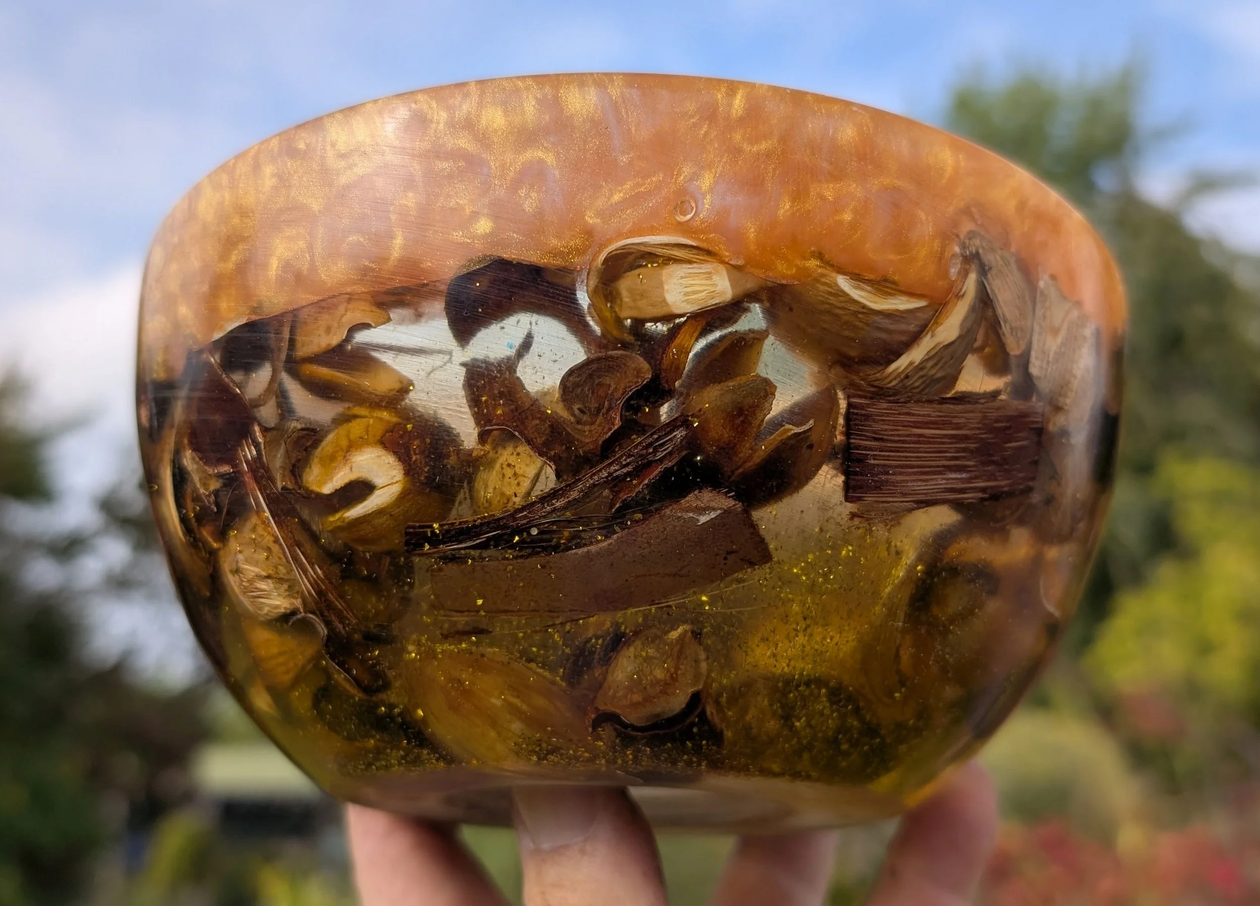 PXL_20250927_120051988.MP - Copy.jpg