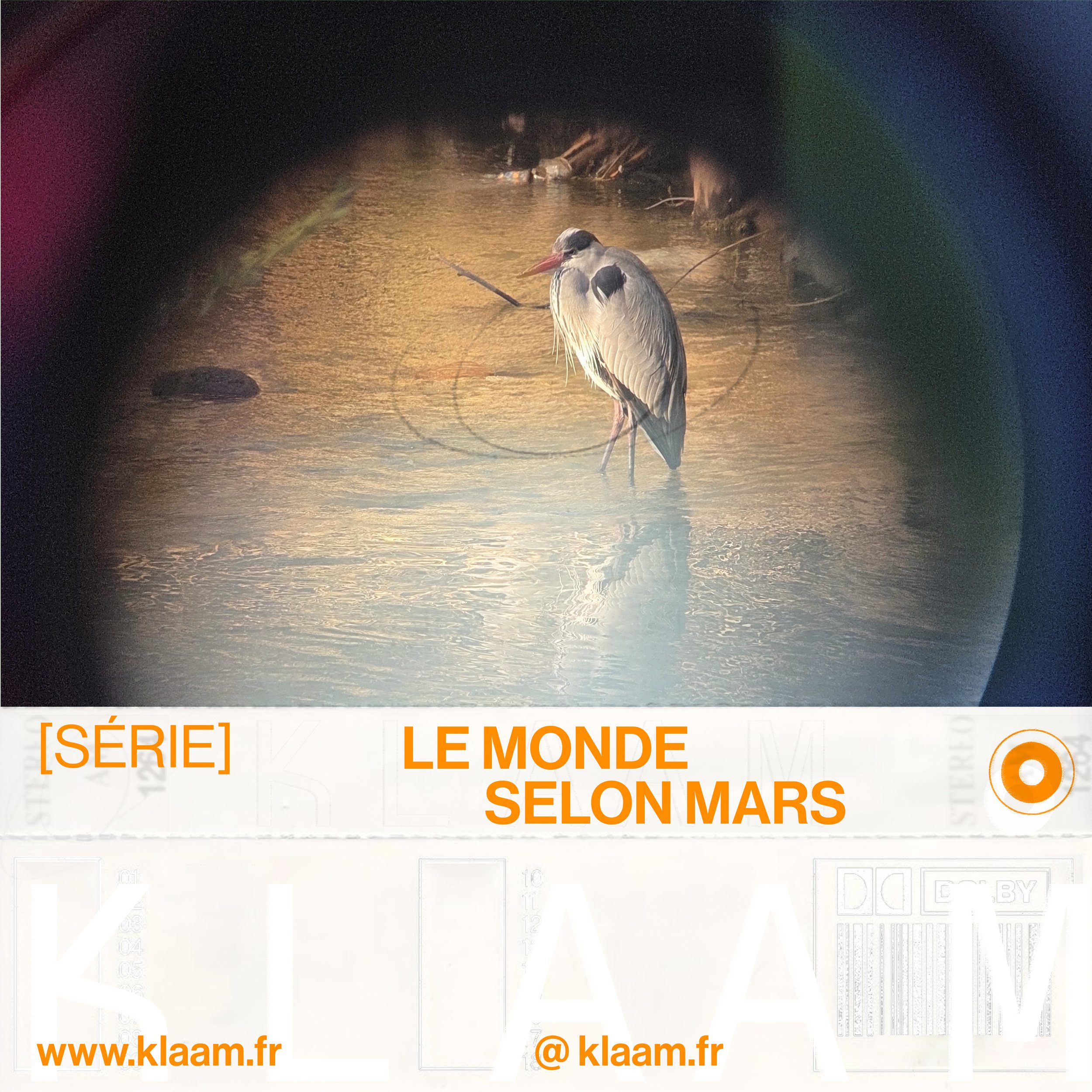 Un héron cendré debout dans l'eau, vu à travers un télescope ou une lunette d'observation, avec un reflet dans l'eau et un fond naturel.