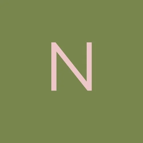 Green background with a large pink letter 'N' centered.