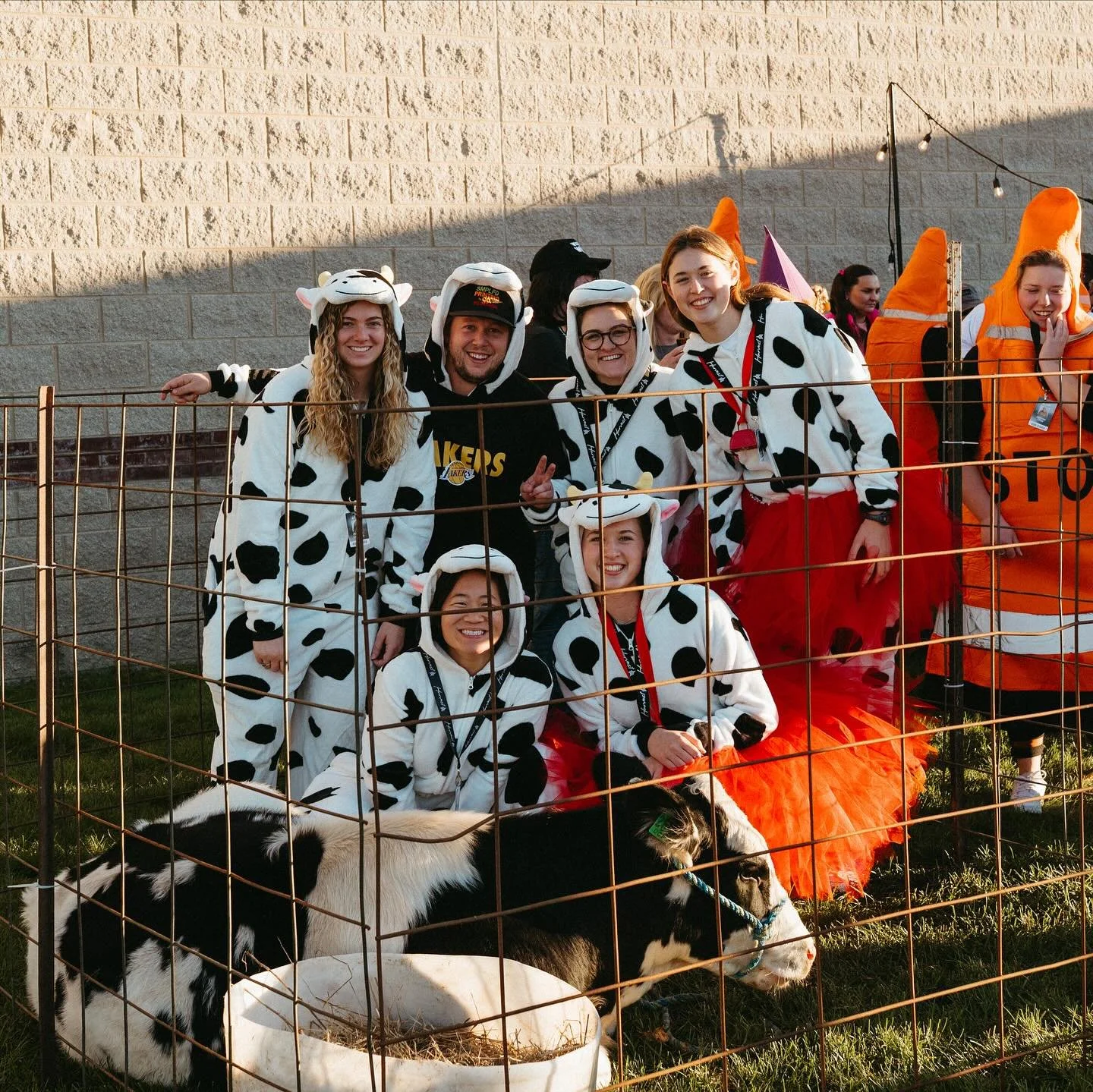 NOT HALLOWEEN 

Hosted by Otis, our favorite mascot and main feature of the night! 🐮

Costumes this year were 12/10 &mdash; lots of cows, traffic cones, story book characters, and even ChatGPT. The costumes didn&rsquo;t stop anyone from line dancing