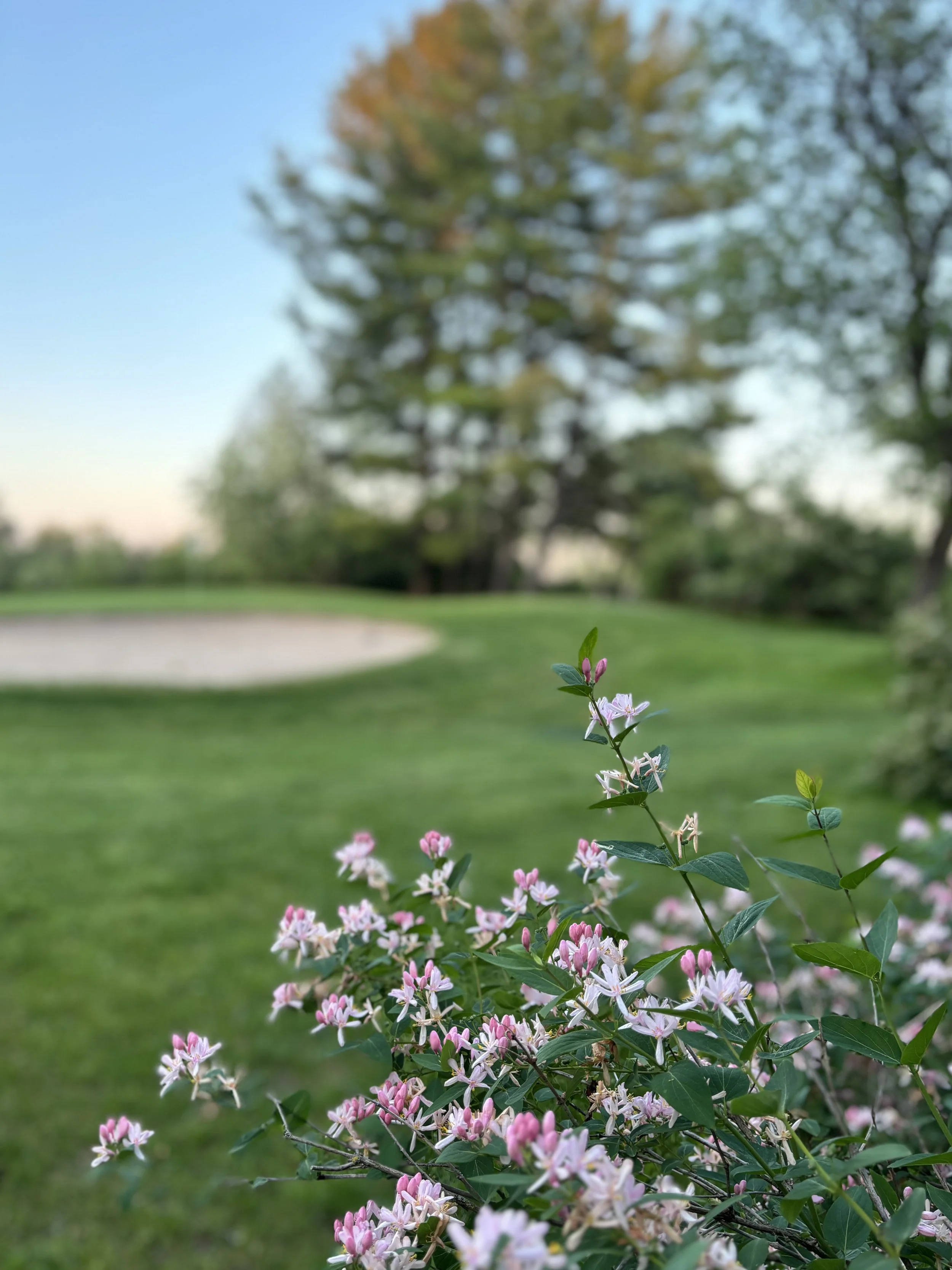 Hole 17