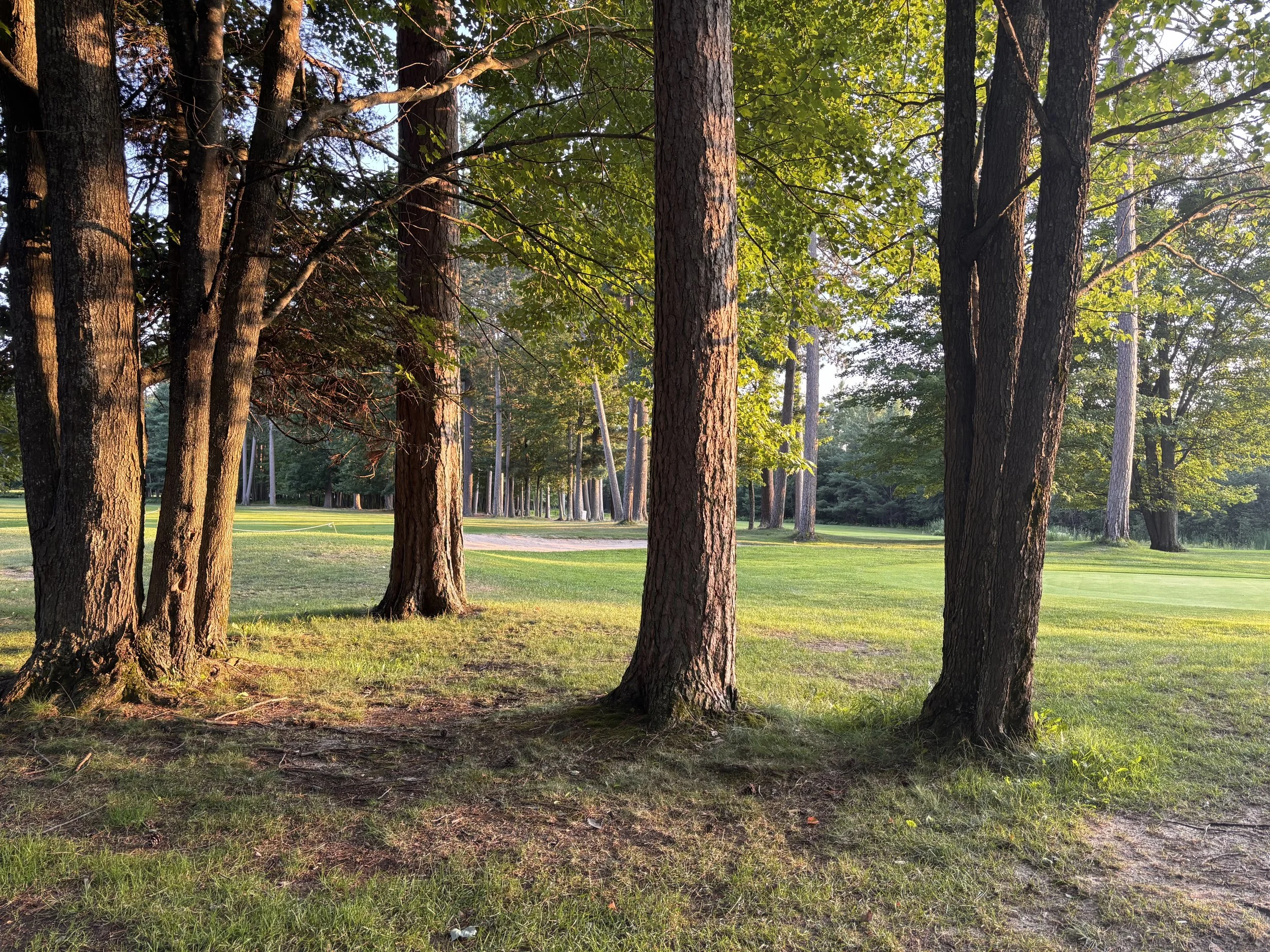 Hole 8