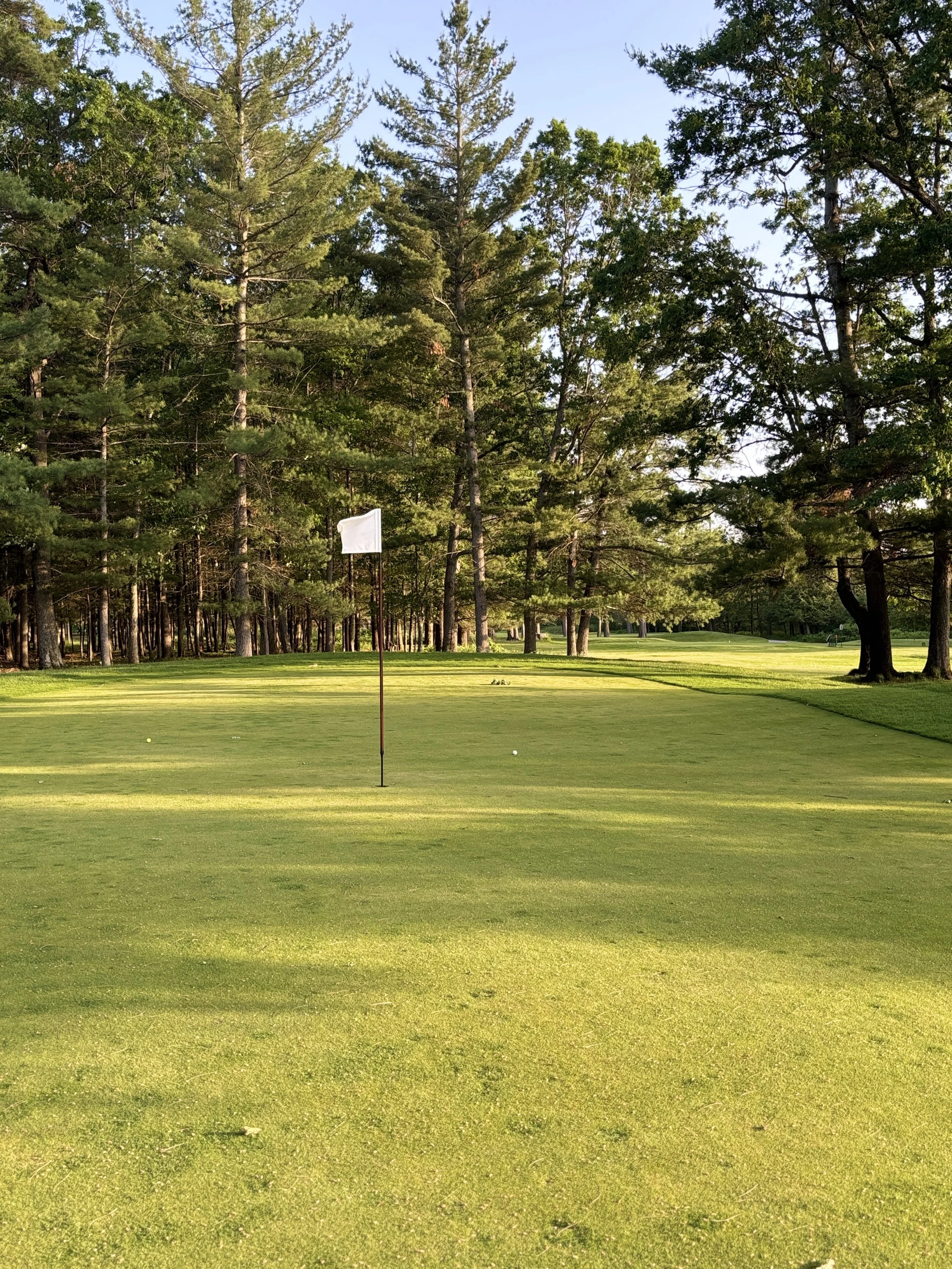 Hole 12 Green
