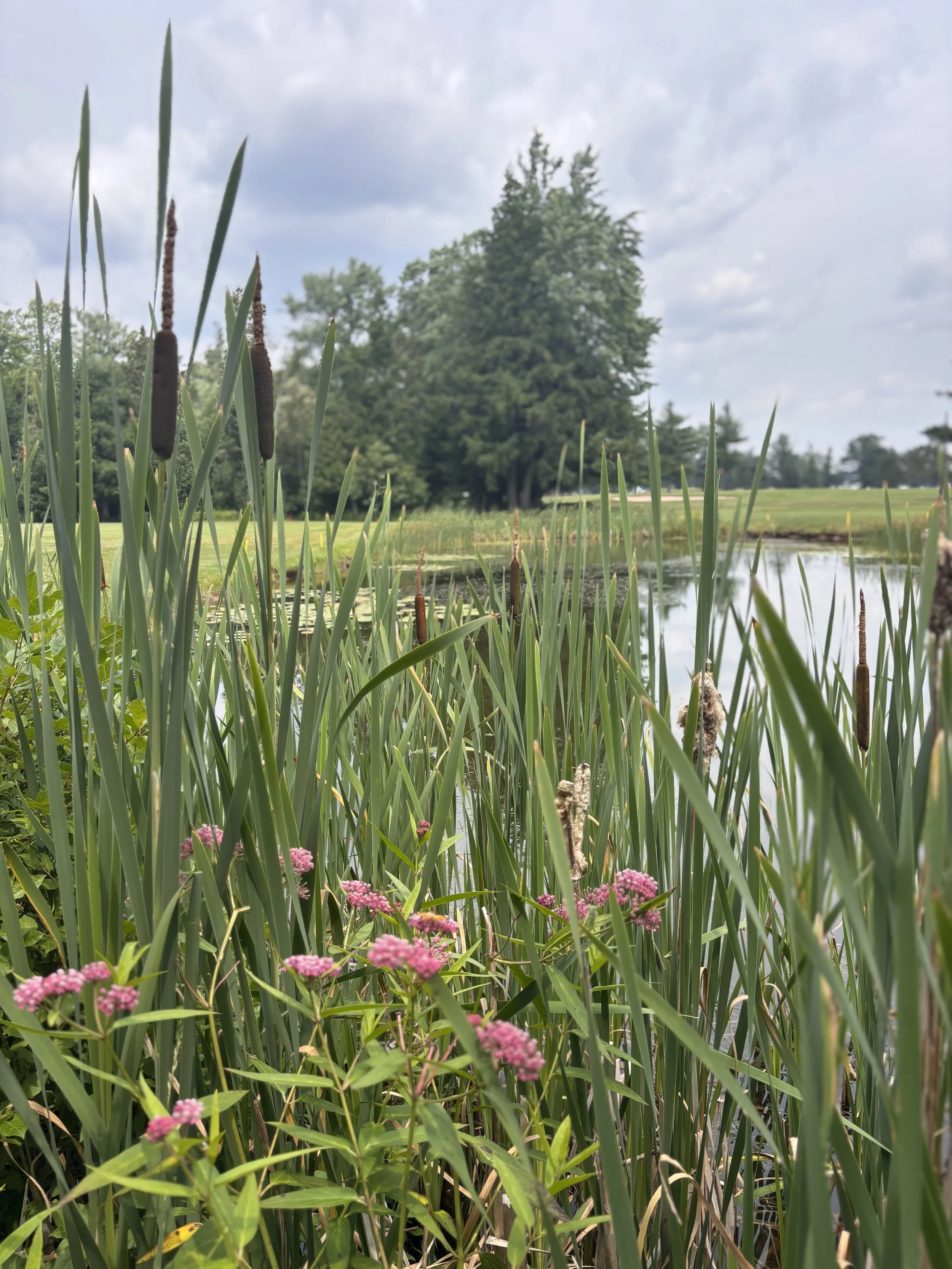 Hole 15