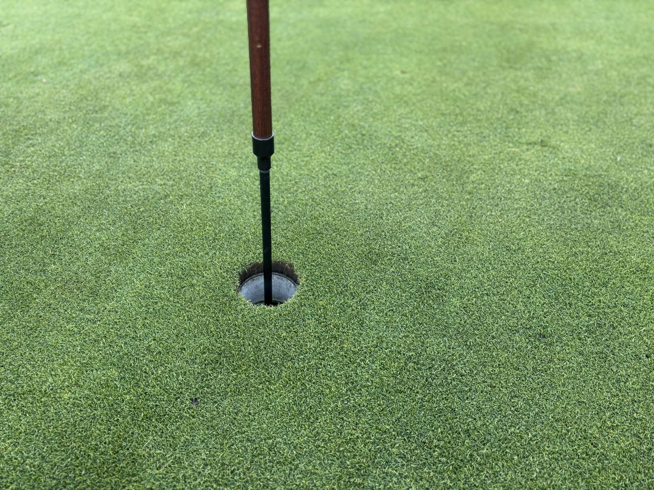 Wednesday Ladies League First Day