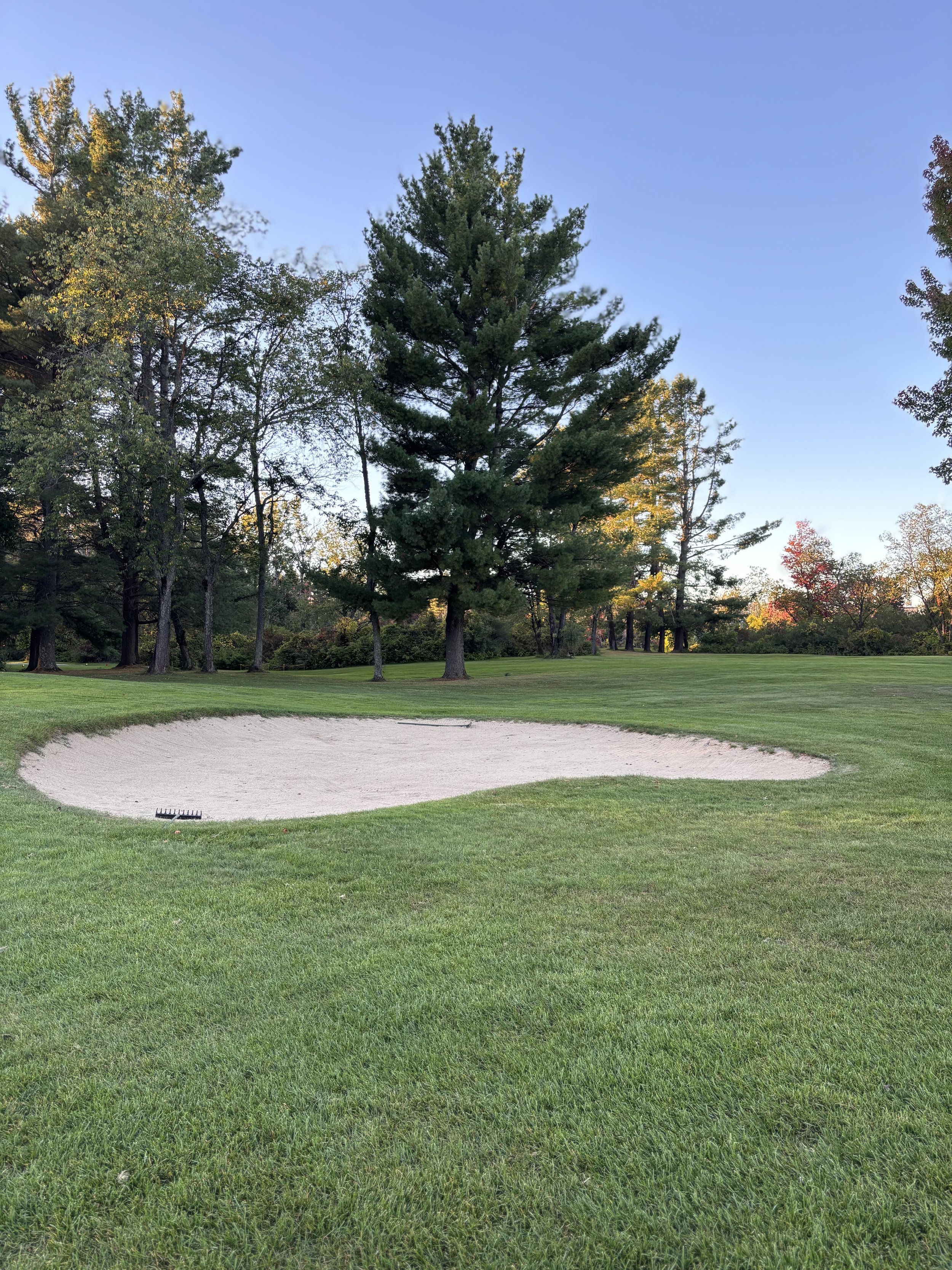 GHS Vikings Invitational