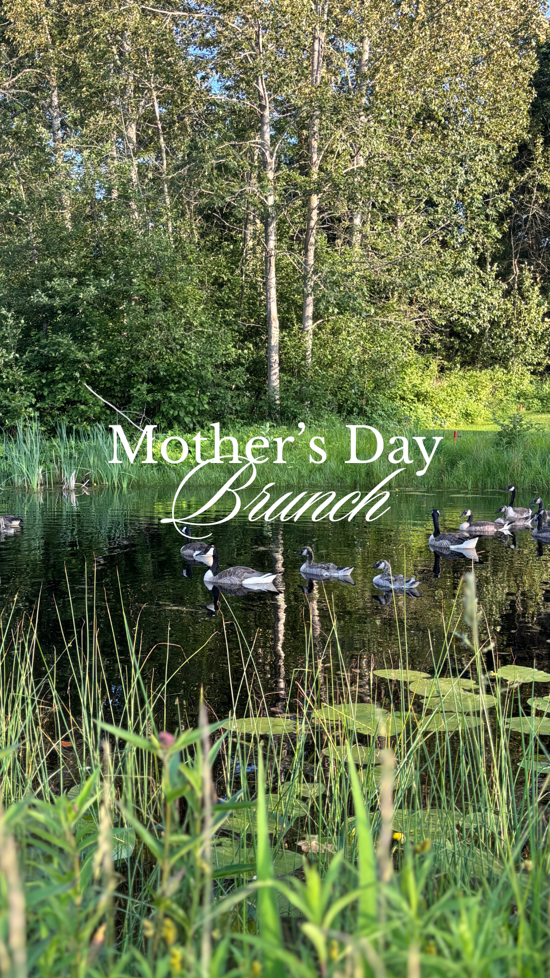 A pond with ducks swimming surrounded by greenery, trees, and tall grass, with the text 'Mother's Day Brunch' overlaid.
