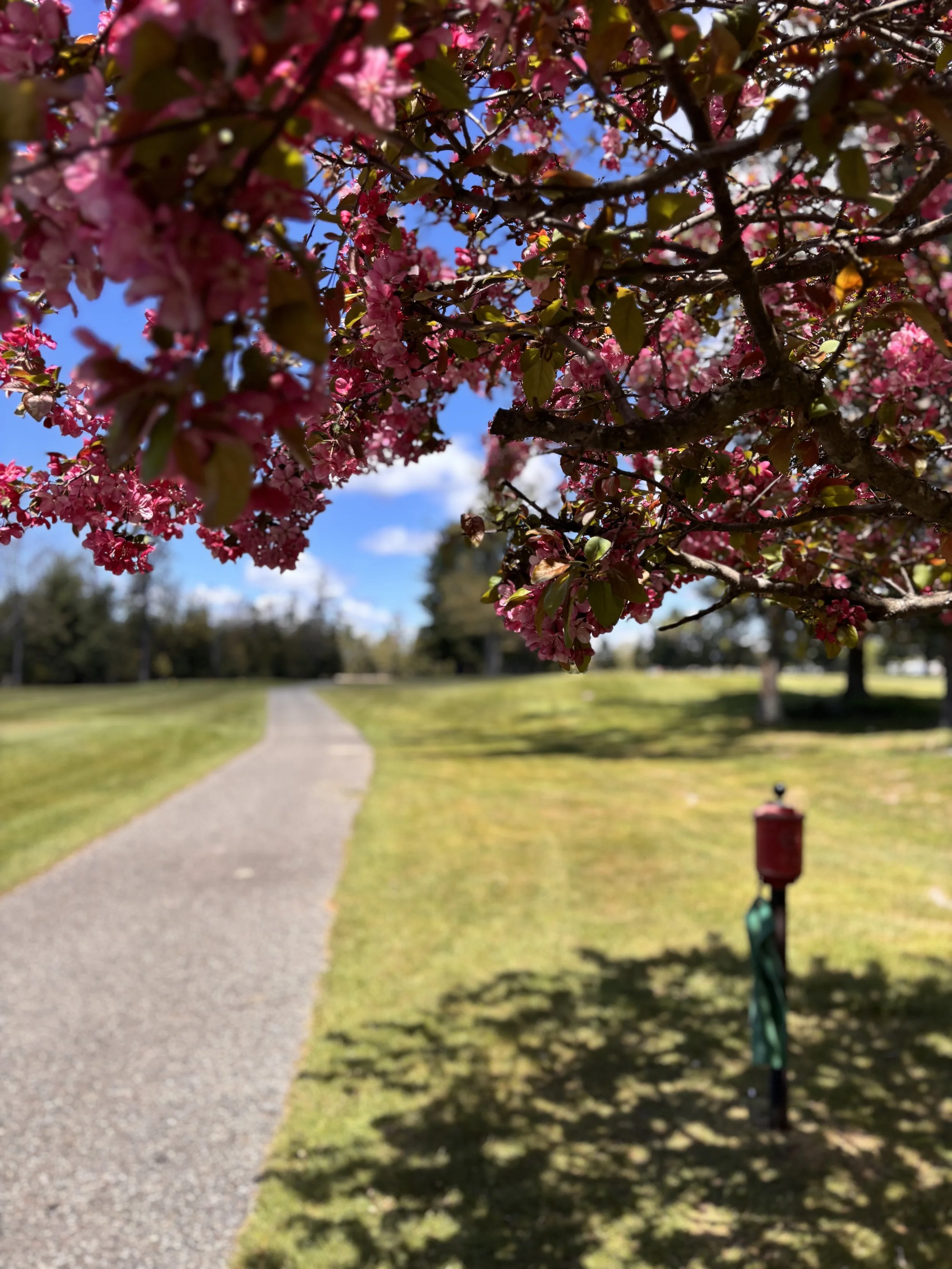 Wakefield/DARE Golf Outing