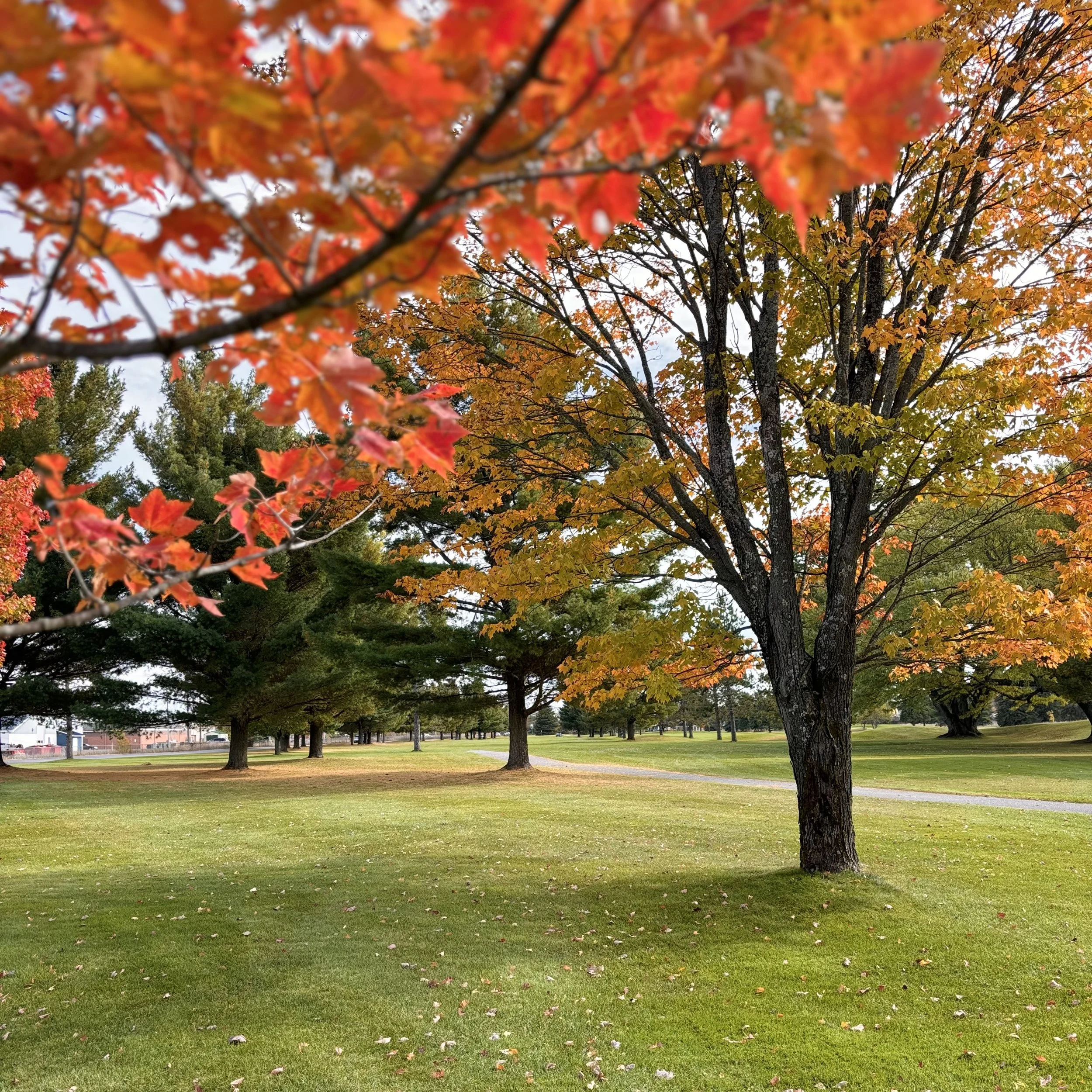 Hole 1