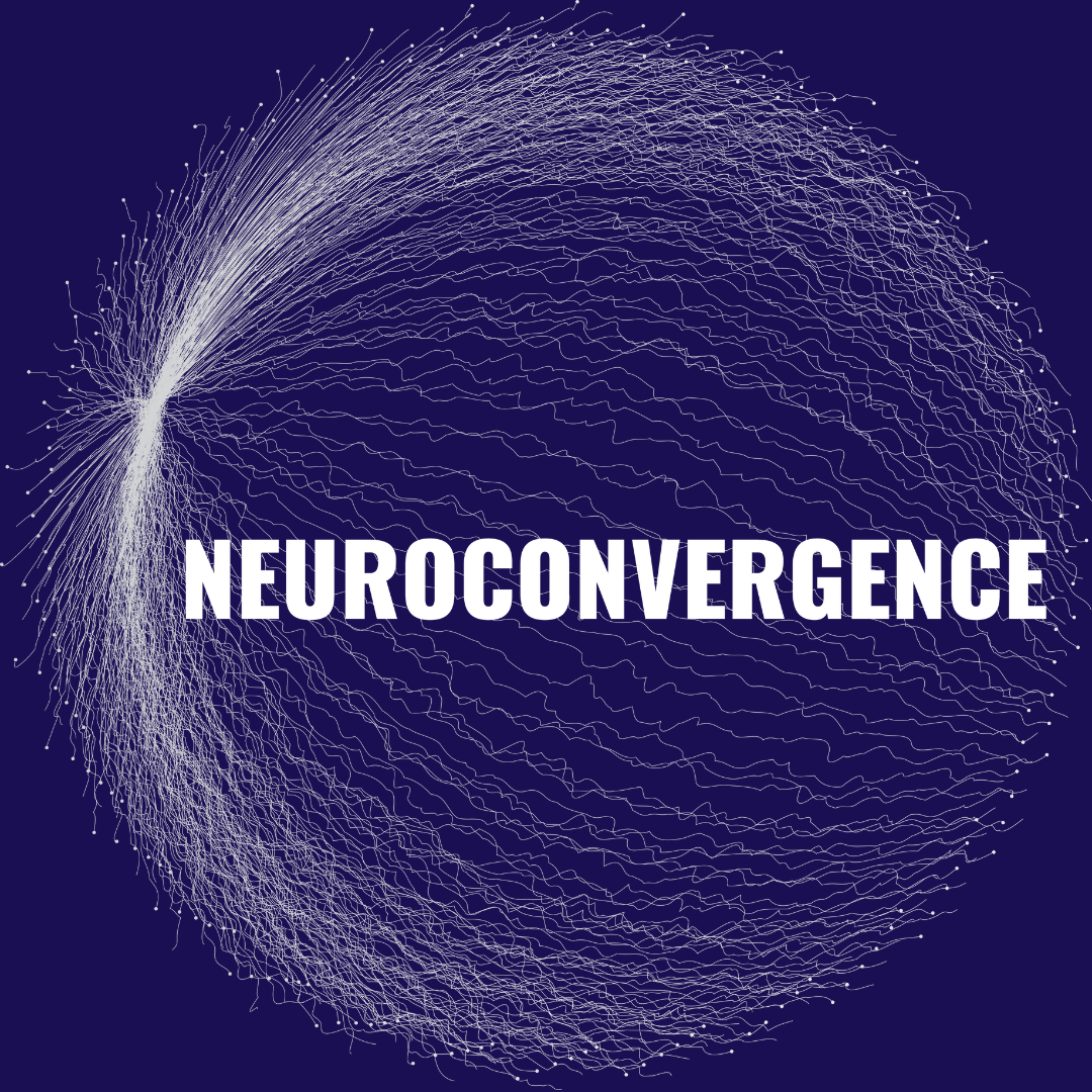 Neuroconvergence 