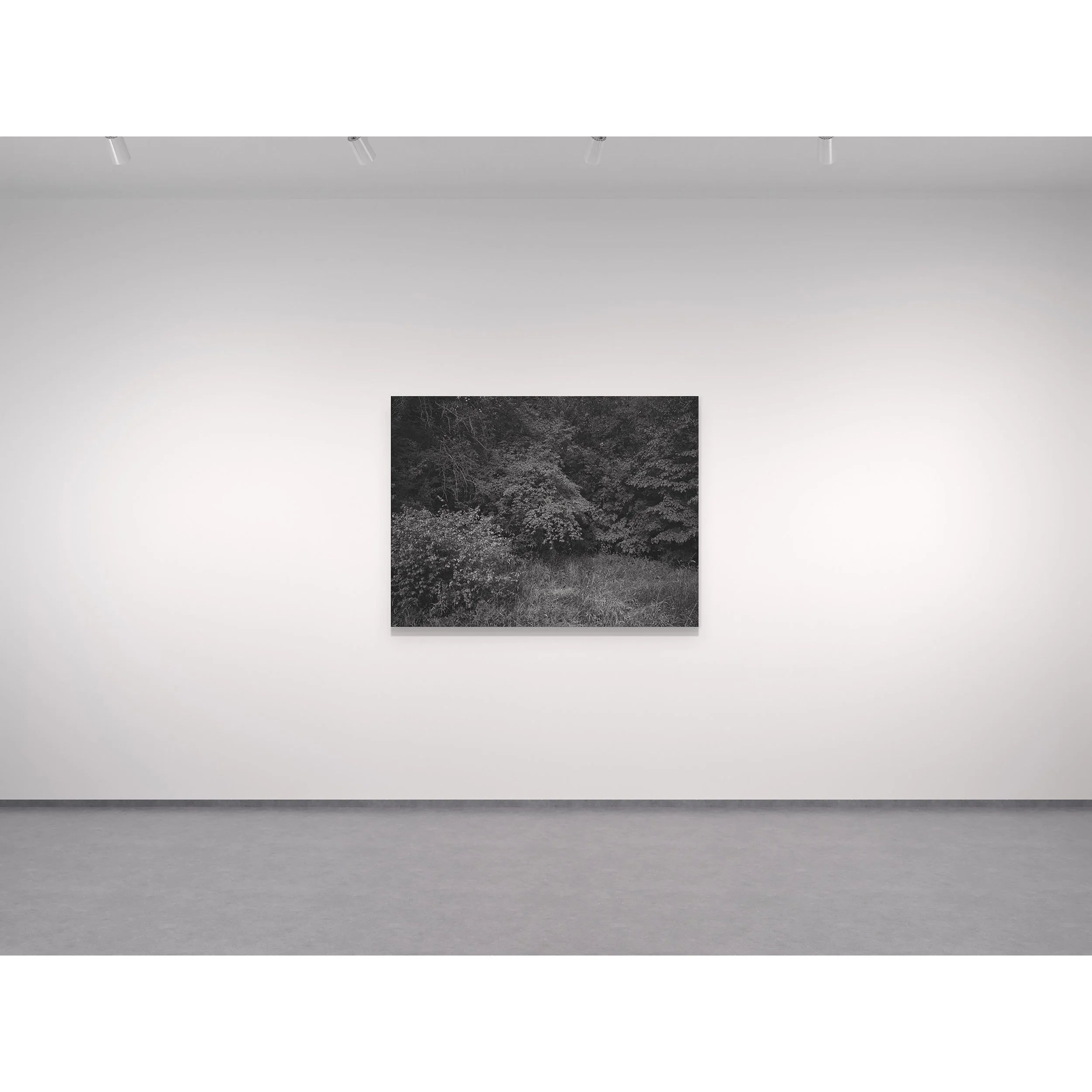 Limbus III