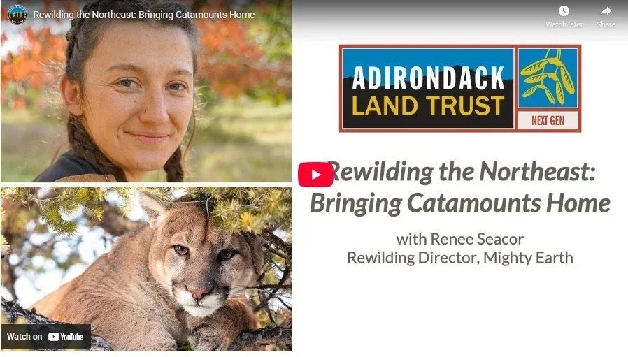 Webinar with Adirondack Land Trust