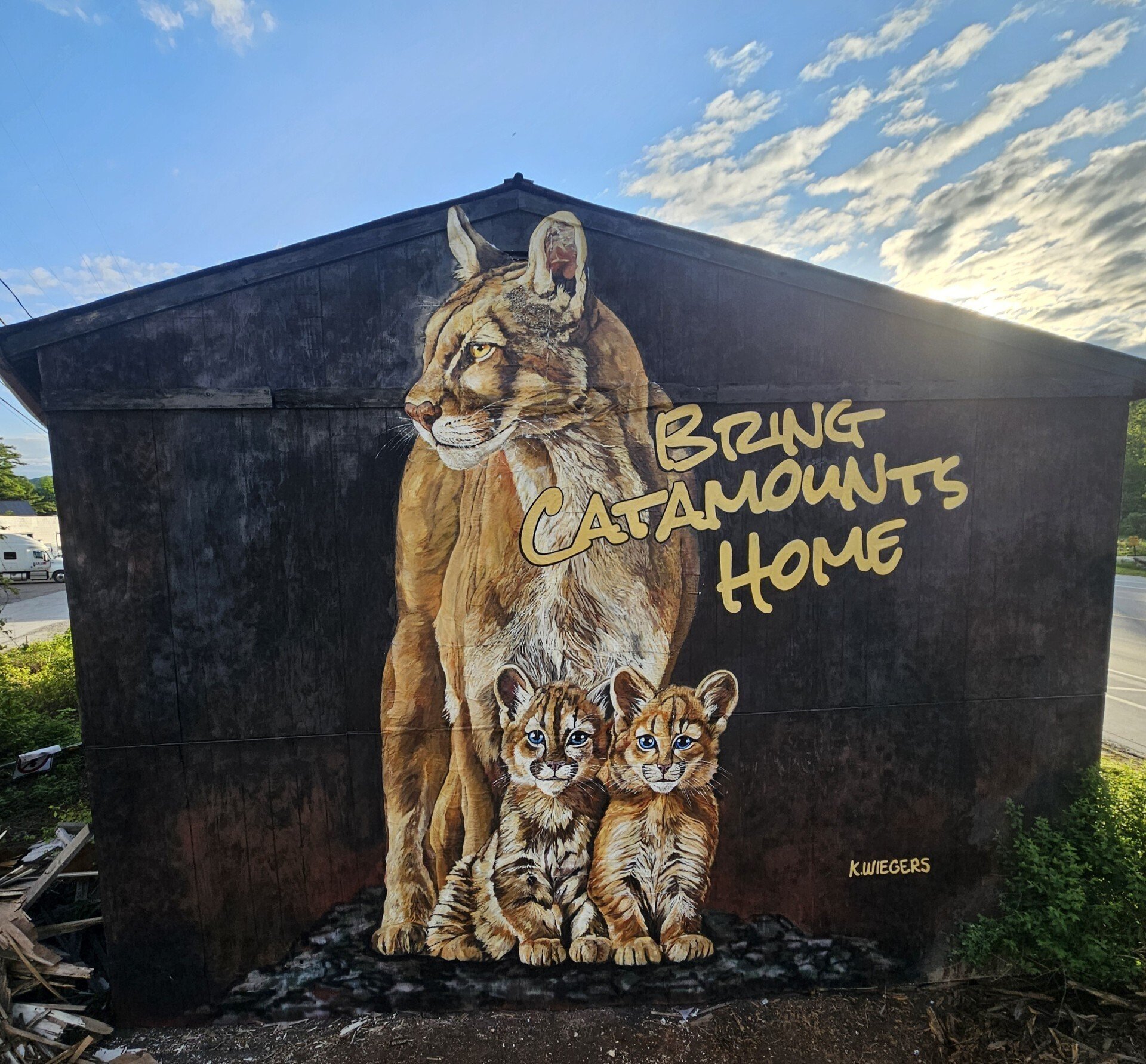New Catamount Mural Unveiled in Rutland