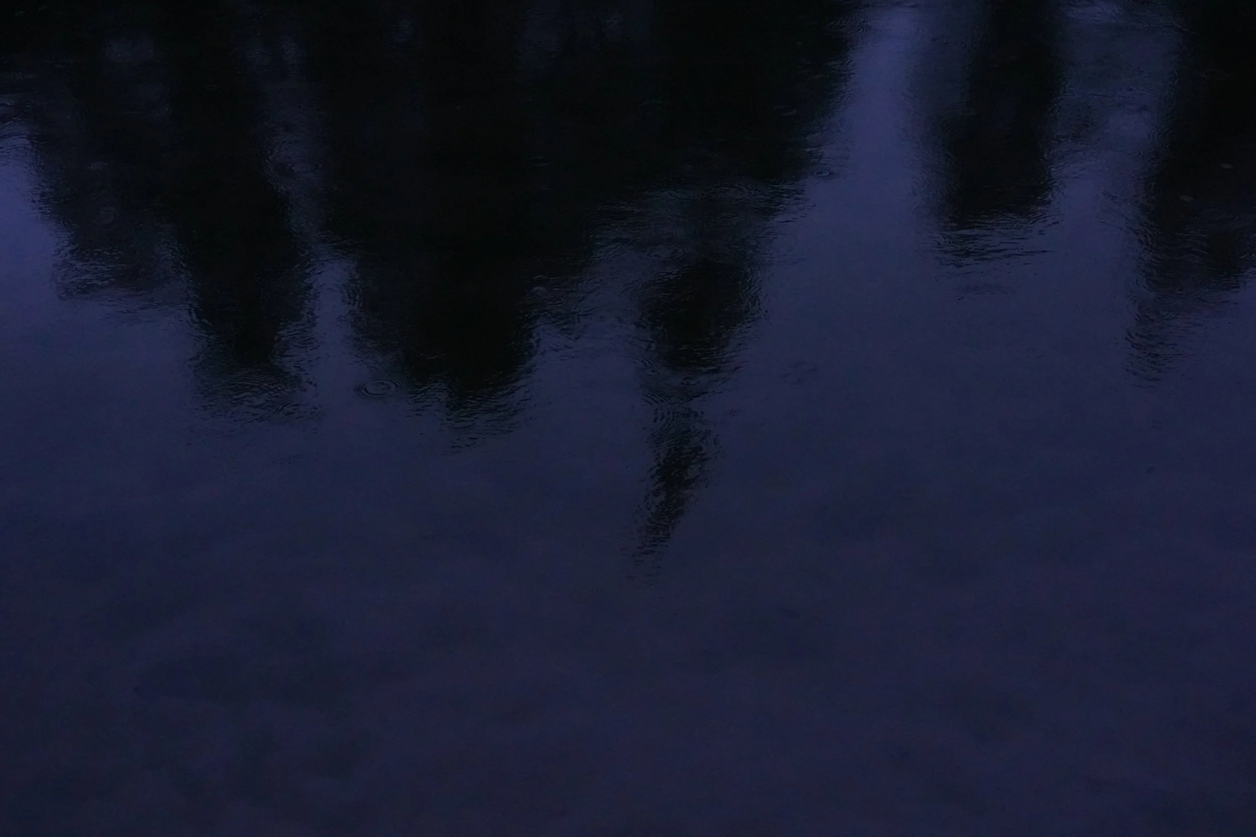 DSC04055.jpg