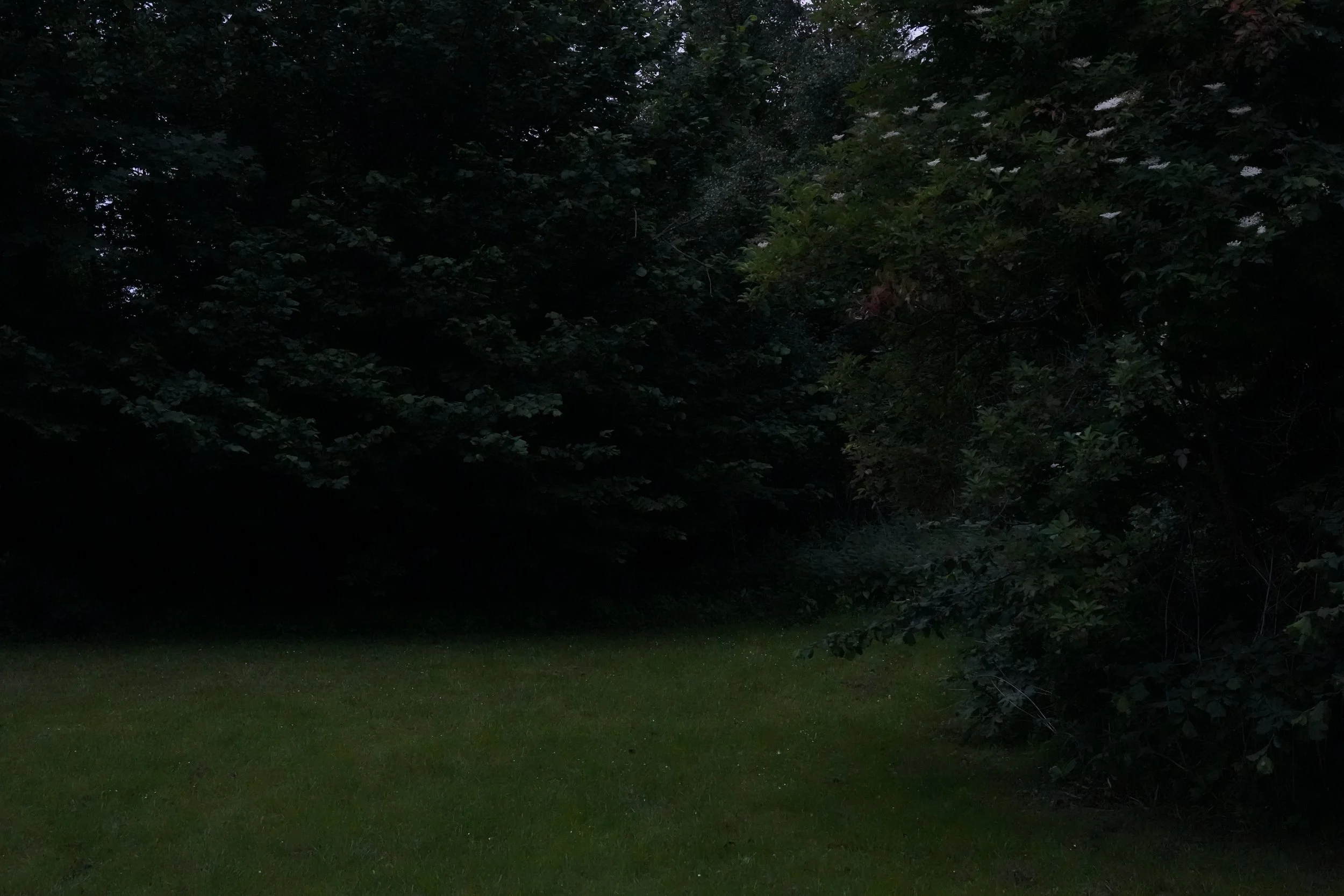 DSC04034.jpg