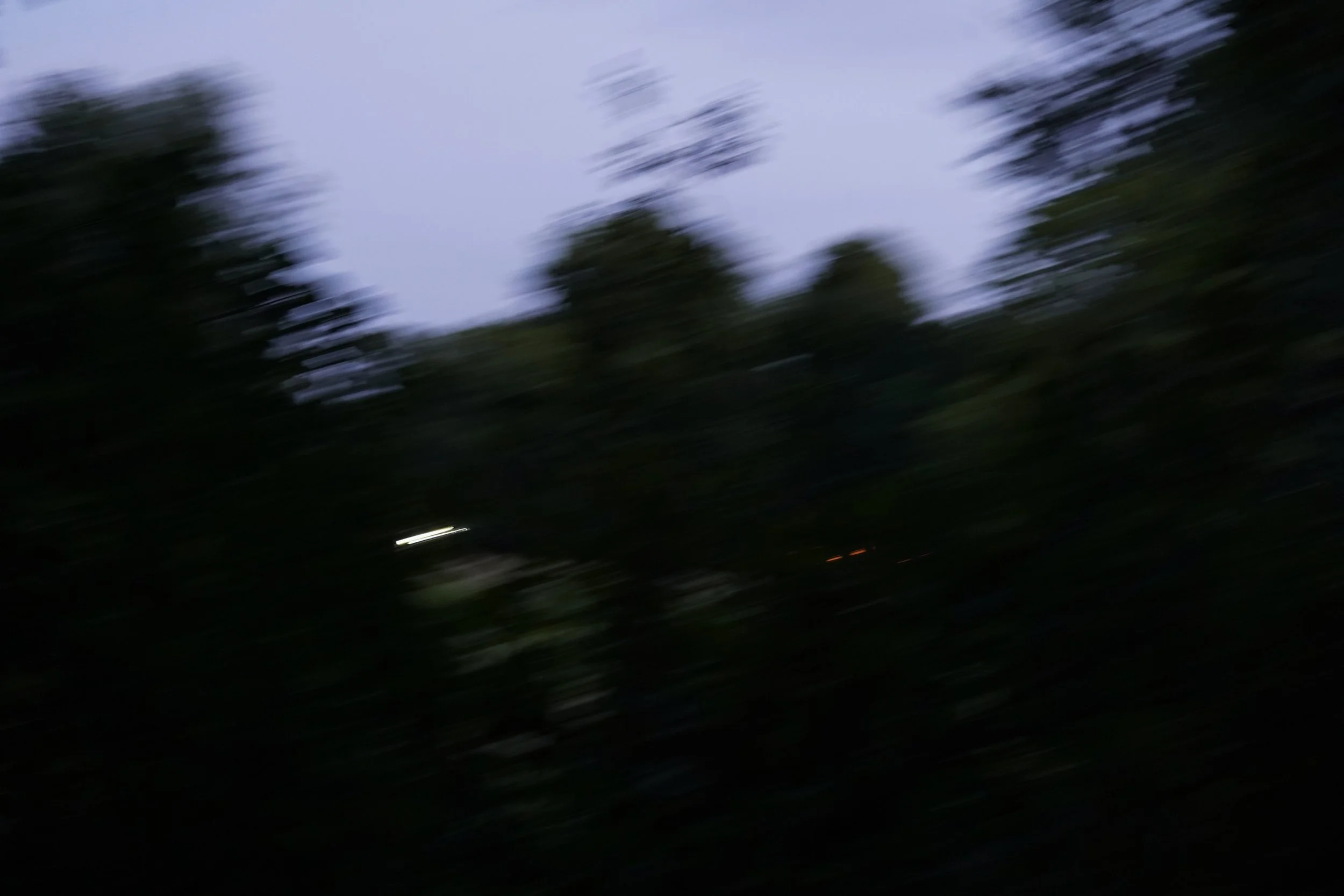 DSC06258.jpg