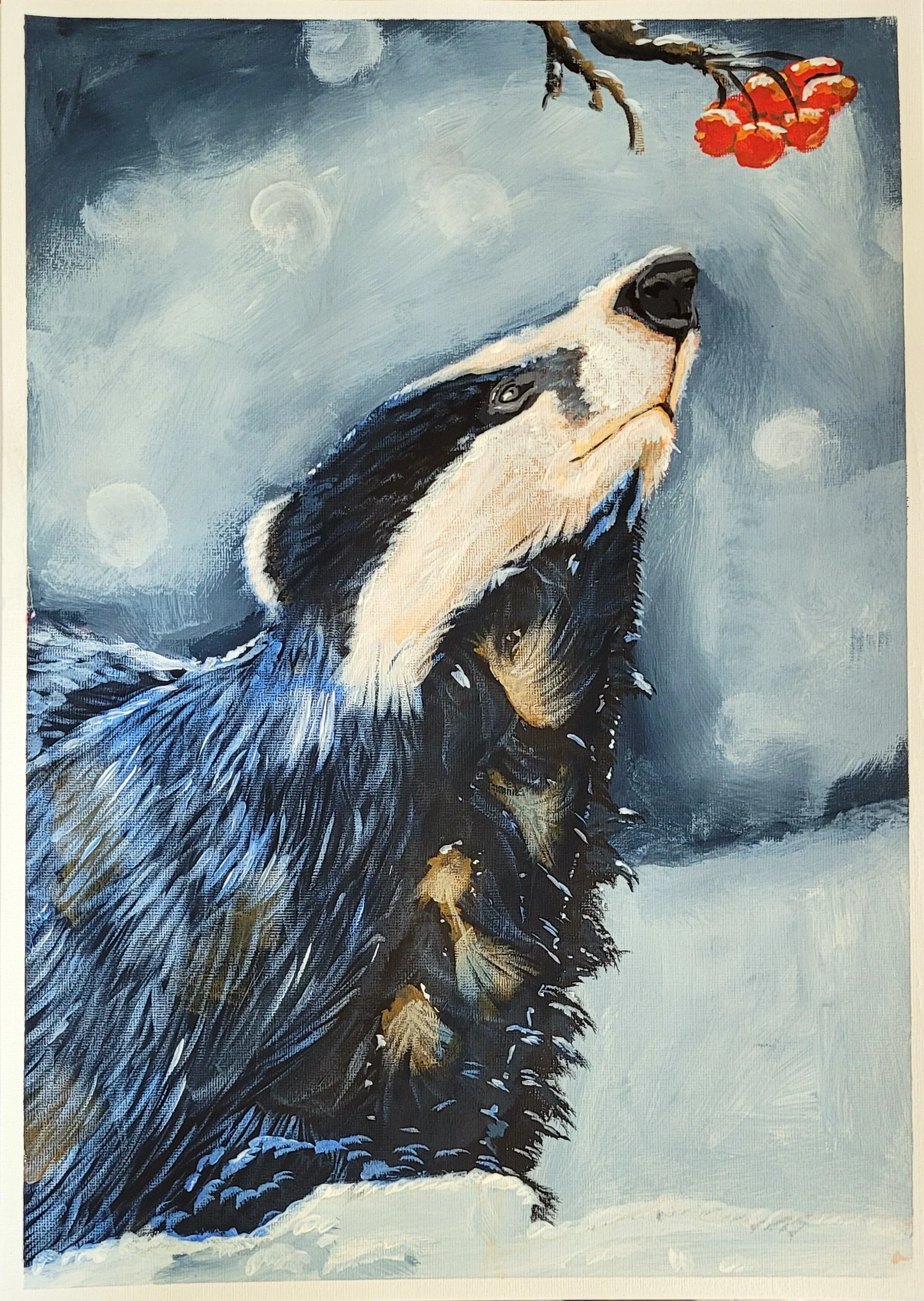 Winter Badger - Acrylic on Paper