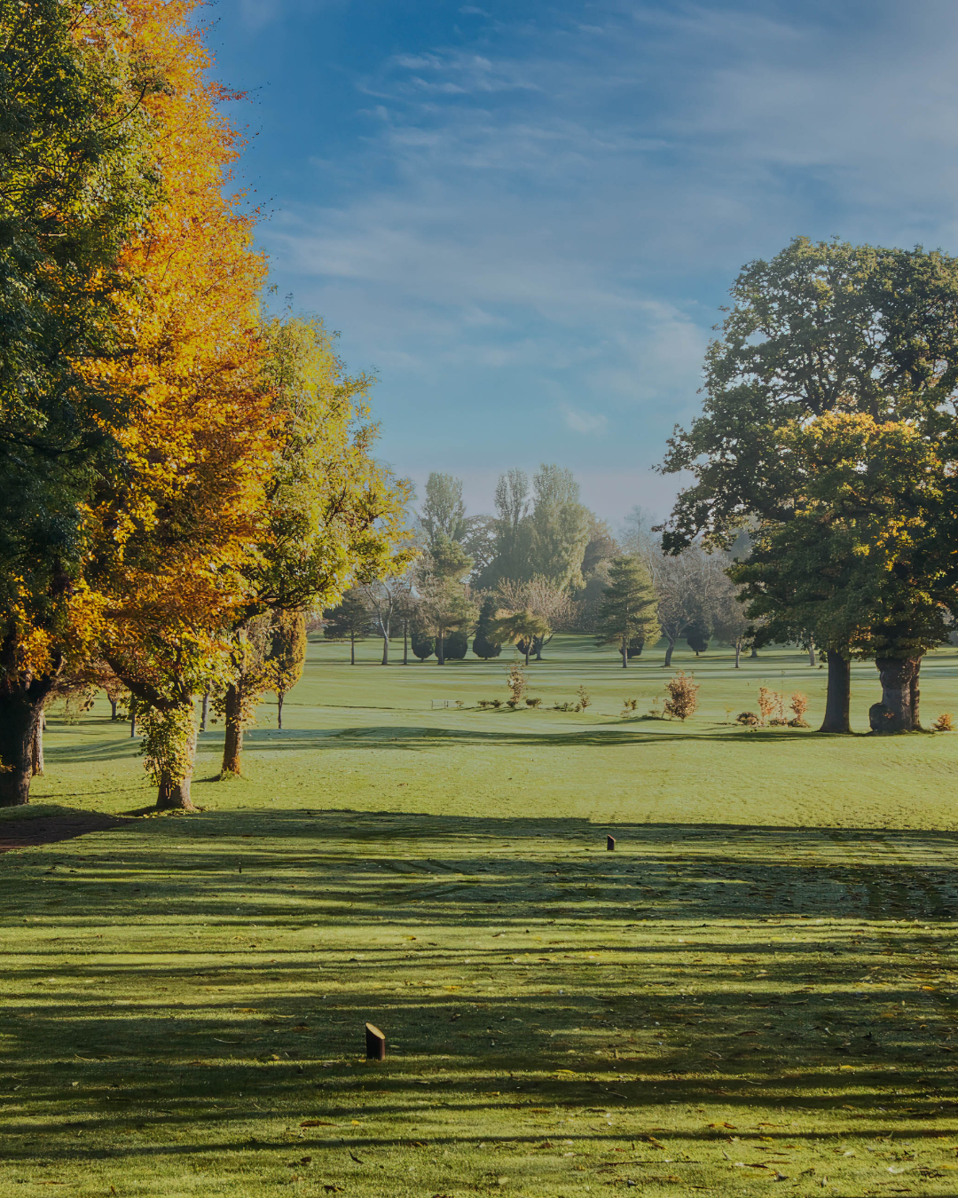 Bedale Golf Club