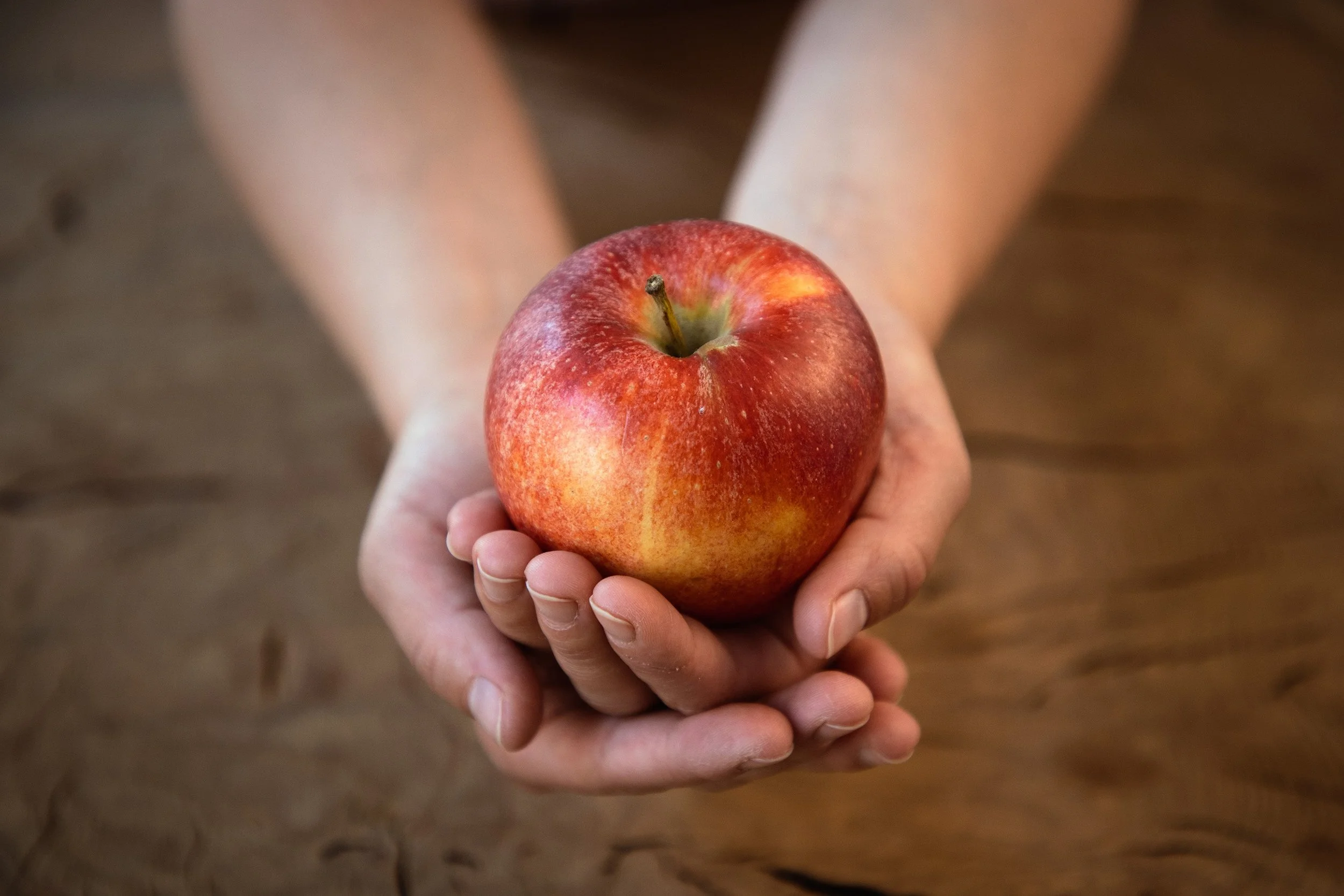 Ernährungspyramide_Obst (c) Land schafft Leben - Apfel-min.jpg