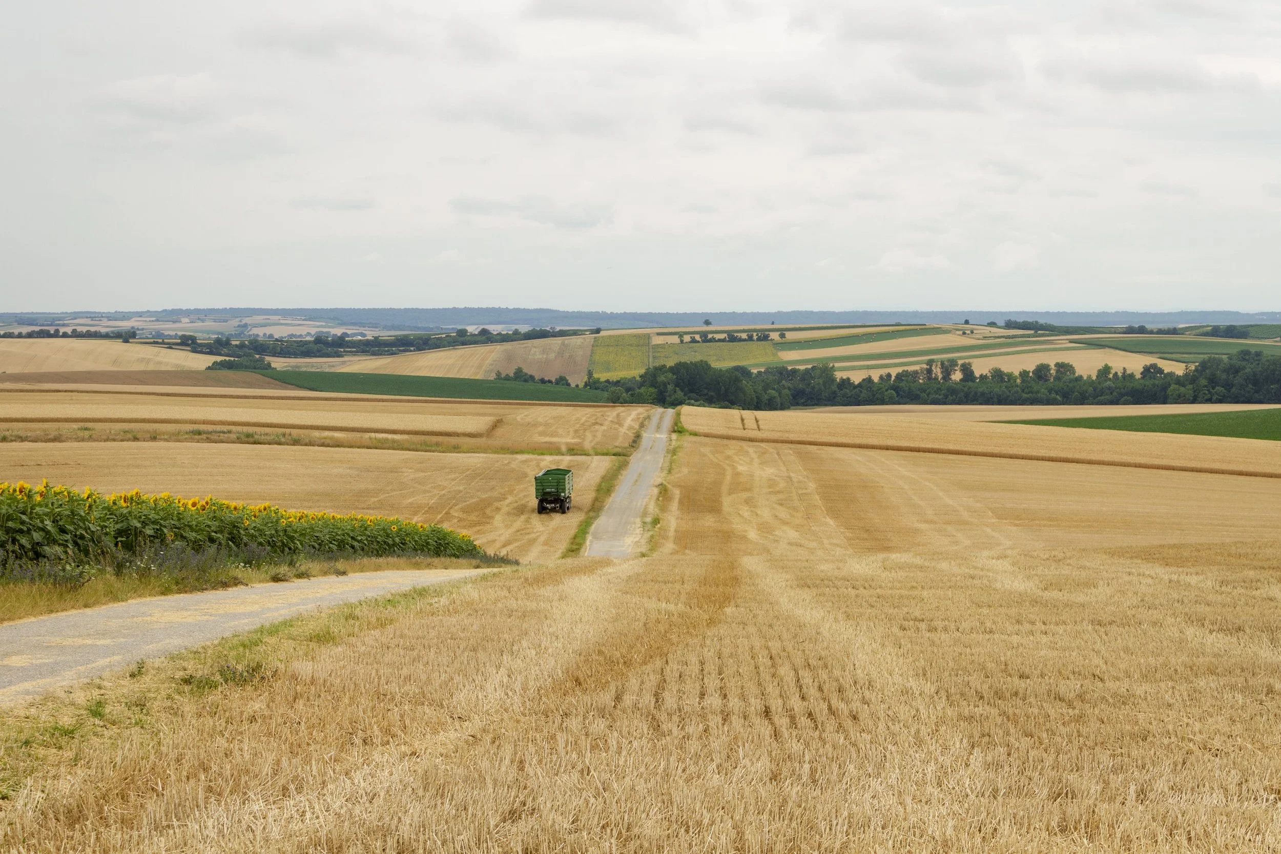 Äcker_MG_6178 (c) Land schafft Leben 2022-min.jpg