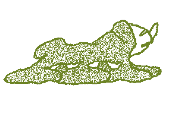 What even is a sýningarstjóri?