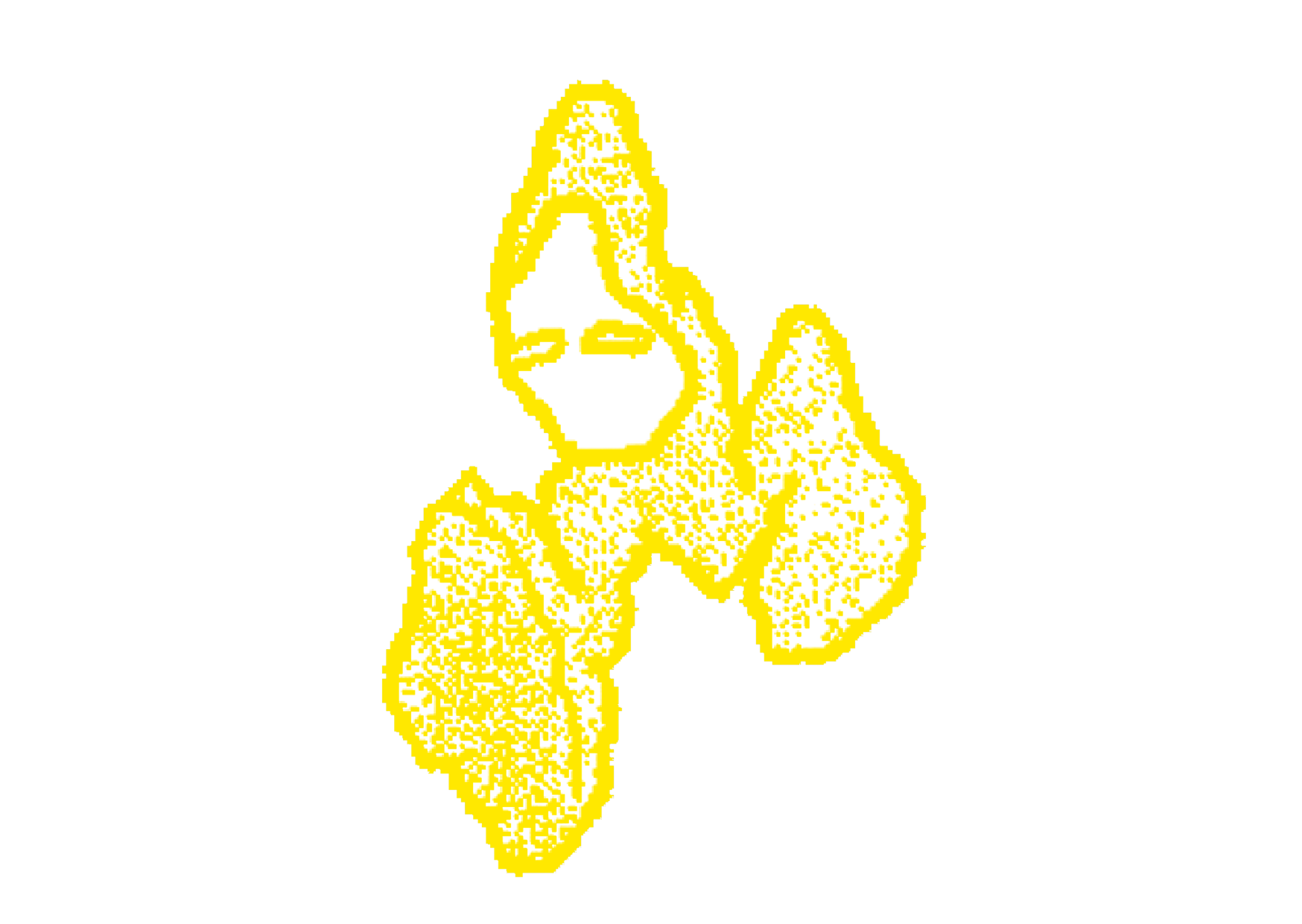 Locating the “sýningarstjóri”