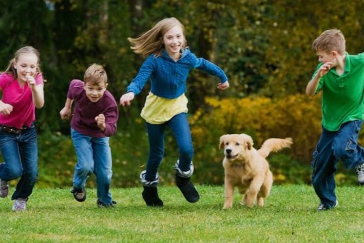 children, kids, dogs, tour, friendly, wine, brewery, scenic, attractions, driver, chauffer, bus, child car seat