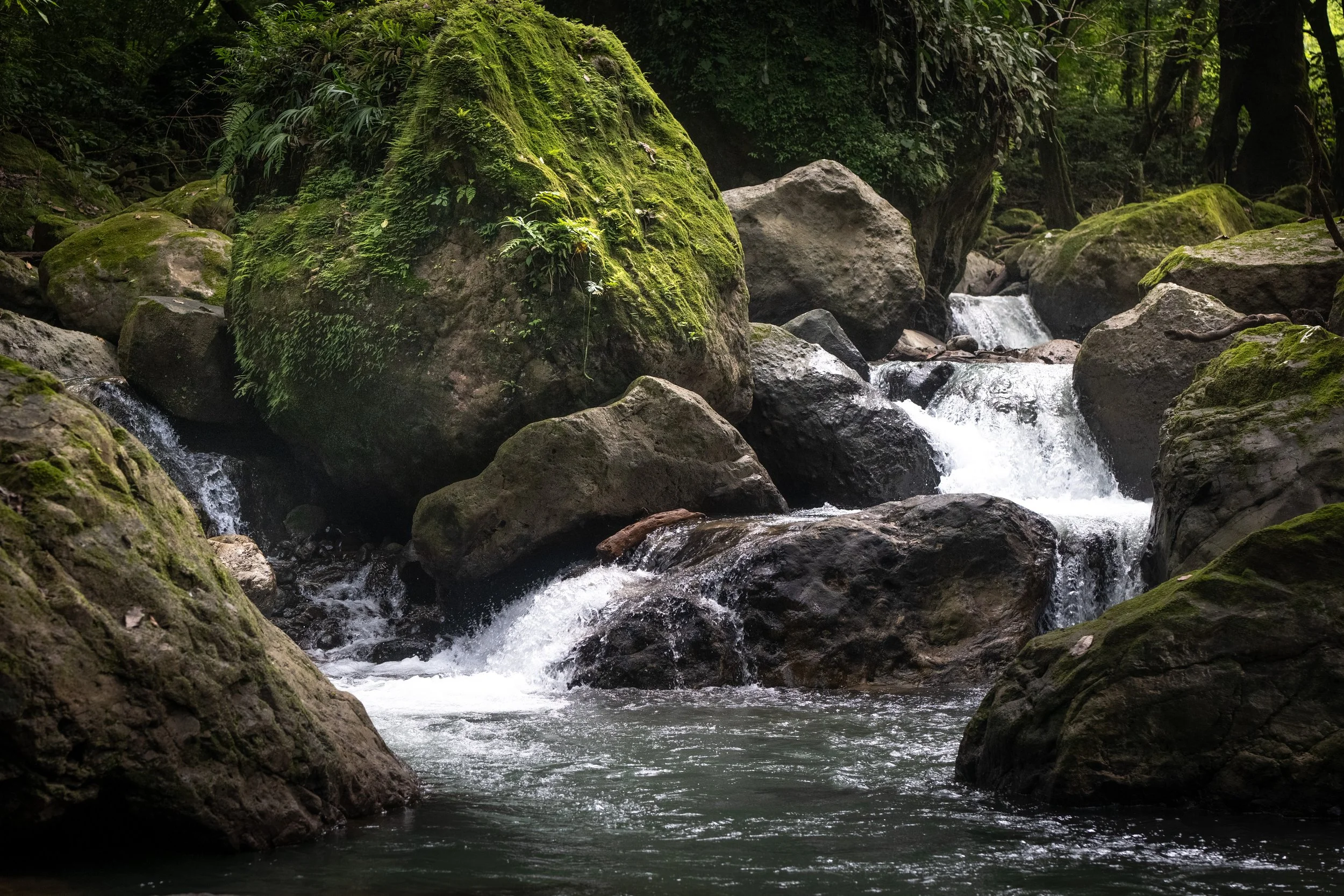 P1156142.jpg (Copy) (Copy) (Copy) (Copy)