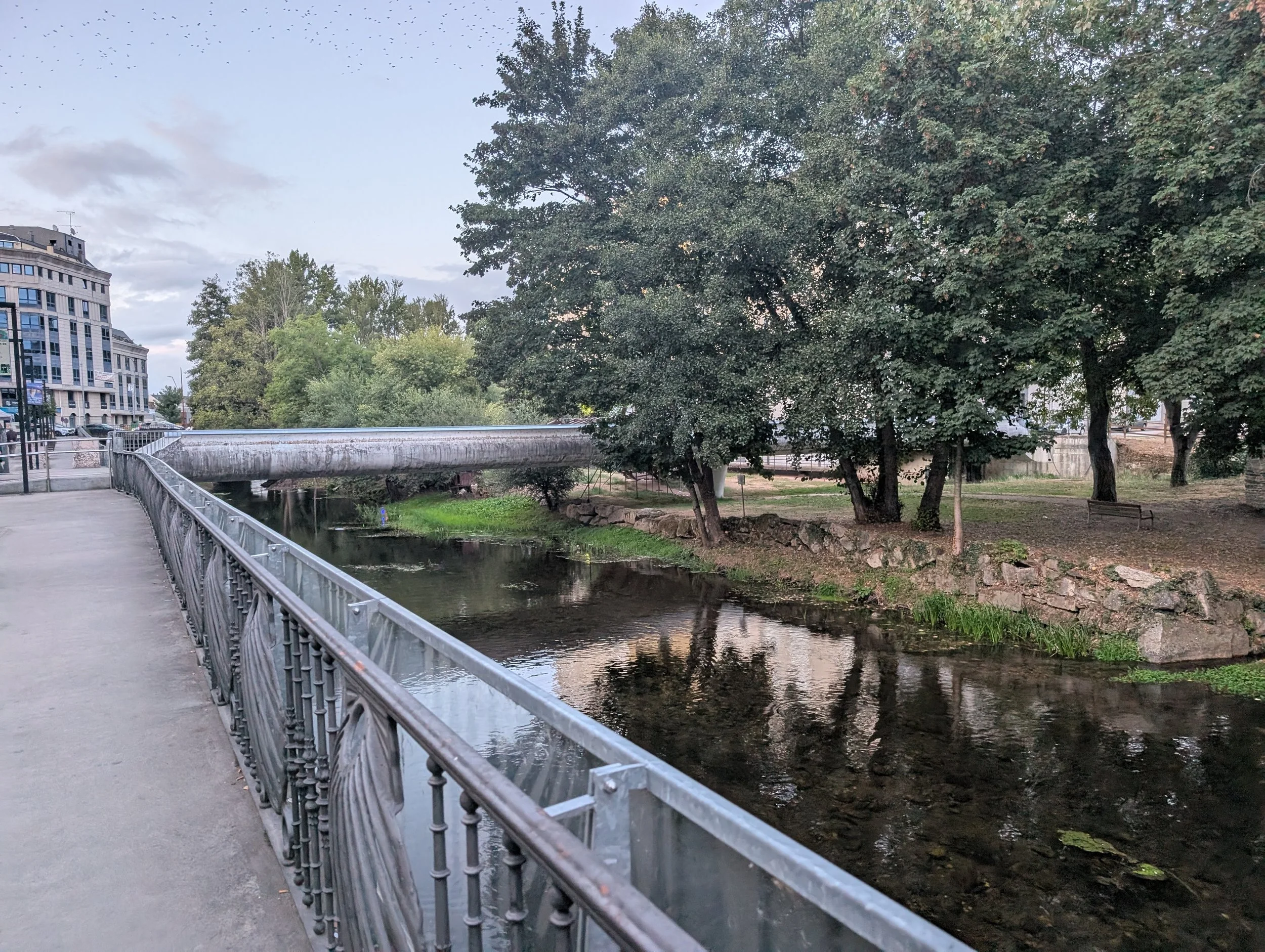 PXL_20250831_190731192.MP (1).jpg